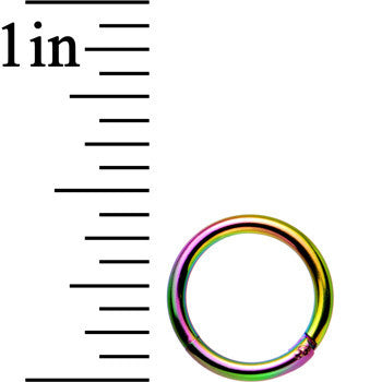 16G 5/16 Rainbow Anodized Hinged Segment Ring