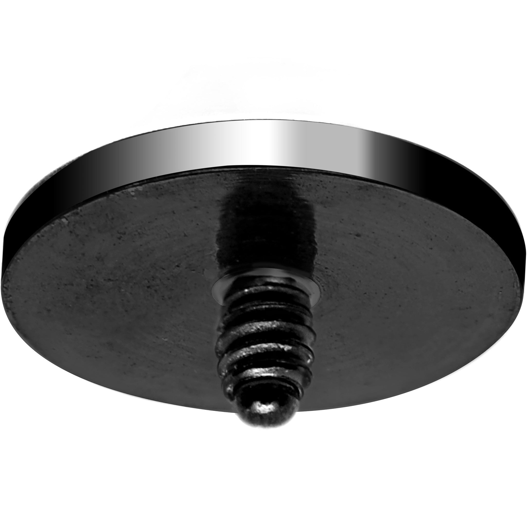 14G Black Titanium IP 4mm Flat Disc Dermal Anchor Top