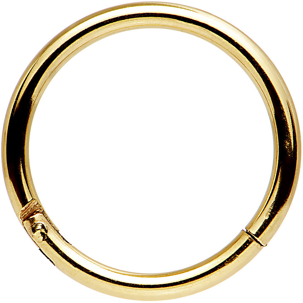 16G 3/8 Gold Tone Anodized Hinged Segment Ring