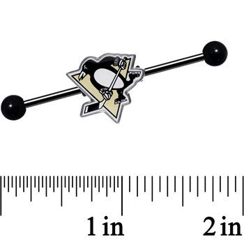 Licensed NHL Black Pittsburgh Penguins Industrial Barbell 38mm