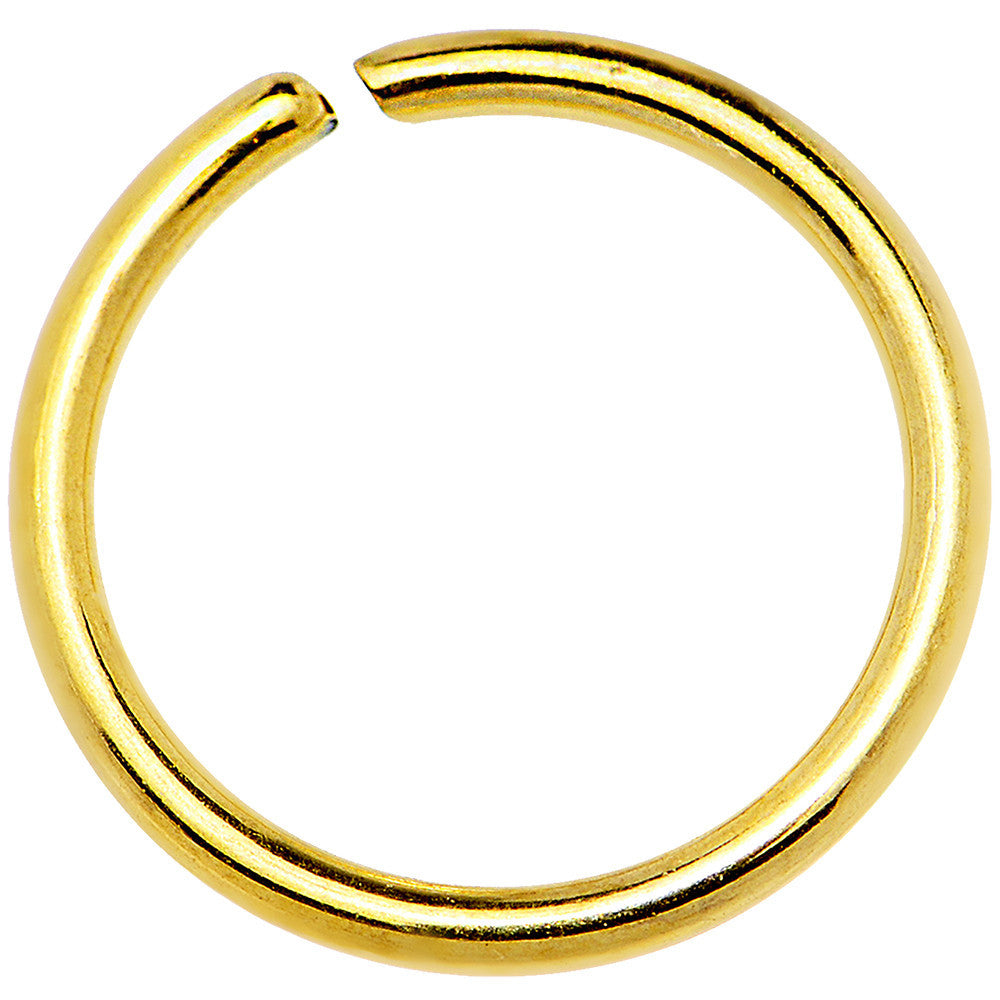 16G 3/8 Gold IP Annealed Steel Seamless Circular Ring