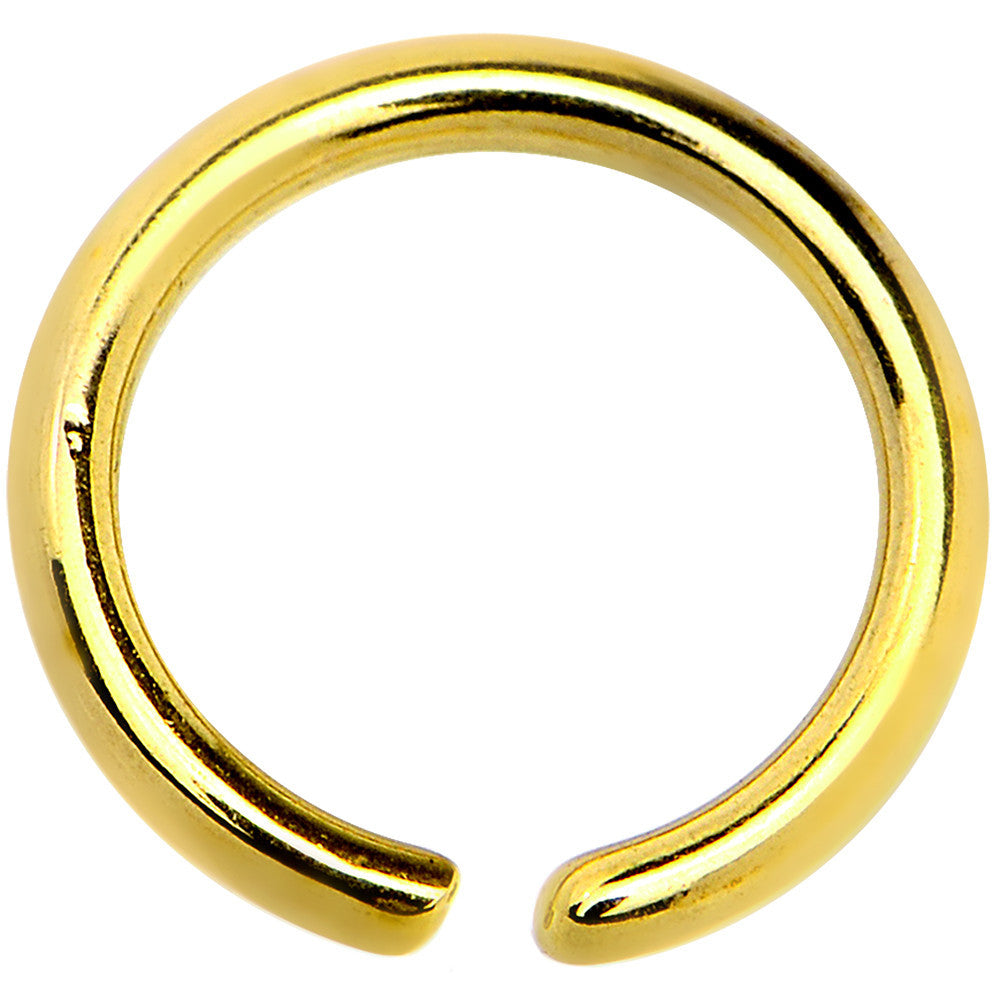 18G 1/4 Gold IP Annealed Steel Seamless Circular Ring