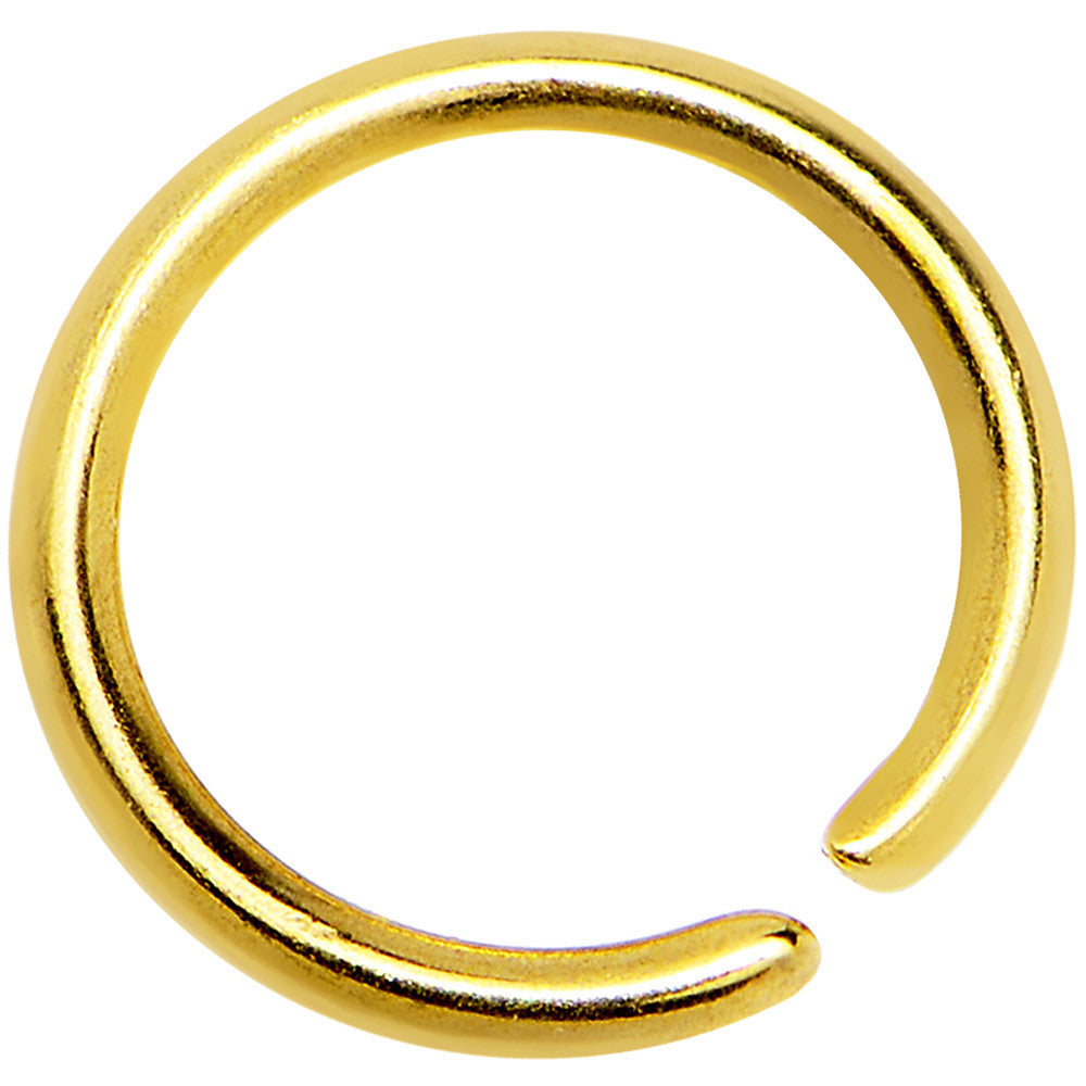 20G 1/4 Gold IP Annealed Steel Seamless Circular Ring