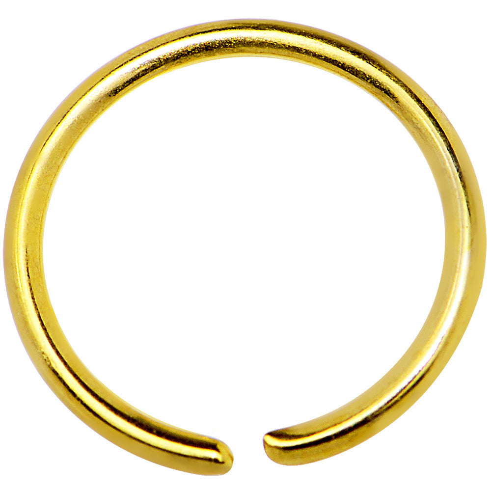 20G 5/16 Gold IP Annealed Steel Seamless Circular Ring
