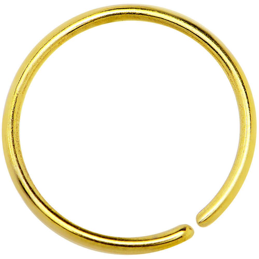 20G 3/8 Gold IP Annealed Steel Seamless Circular Ring