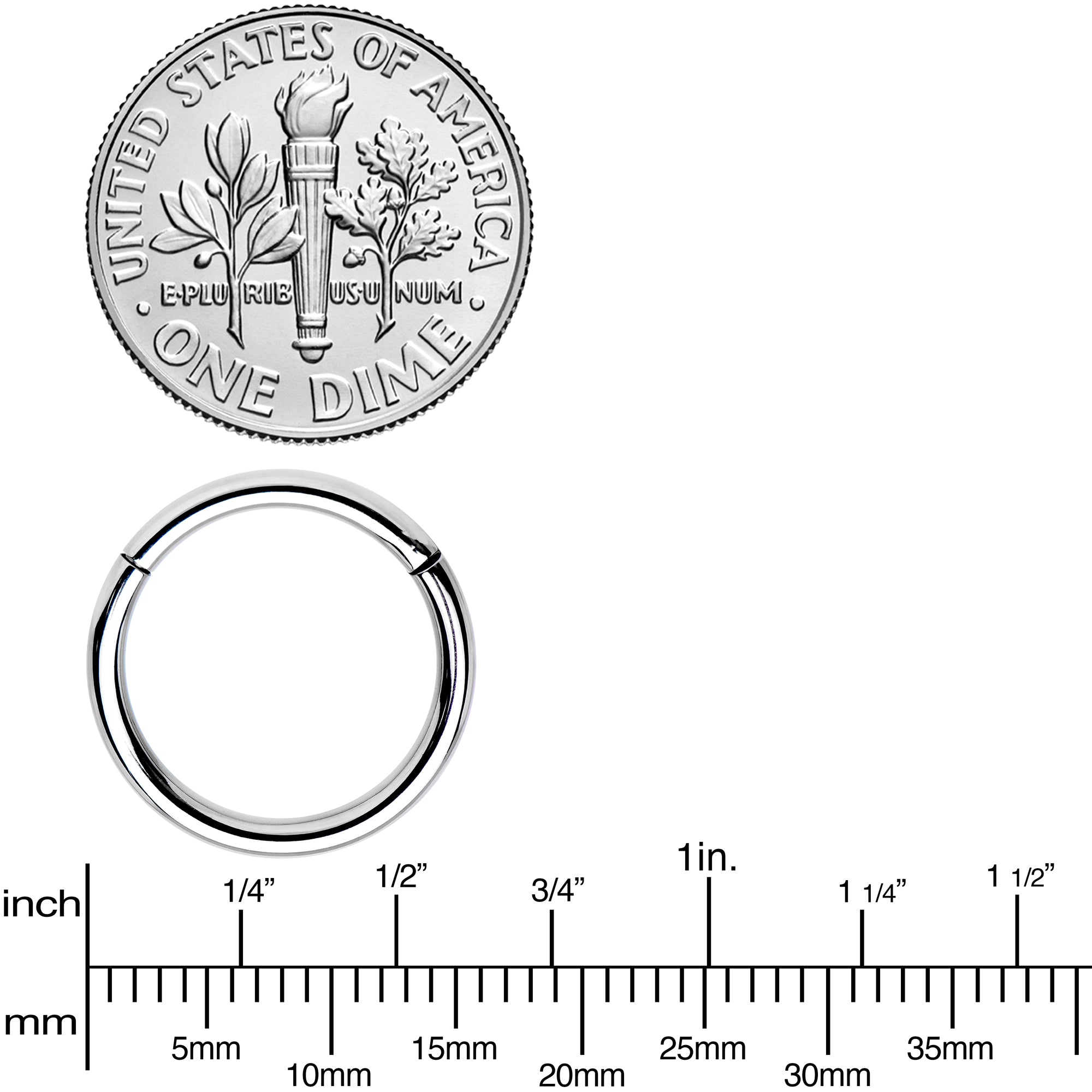 14G 1/2 Solid G23 Implant Grade Titanium Hinged Segment Ring