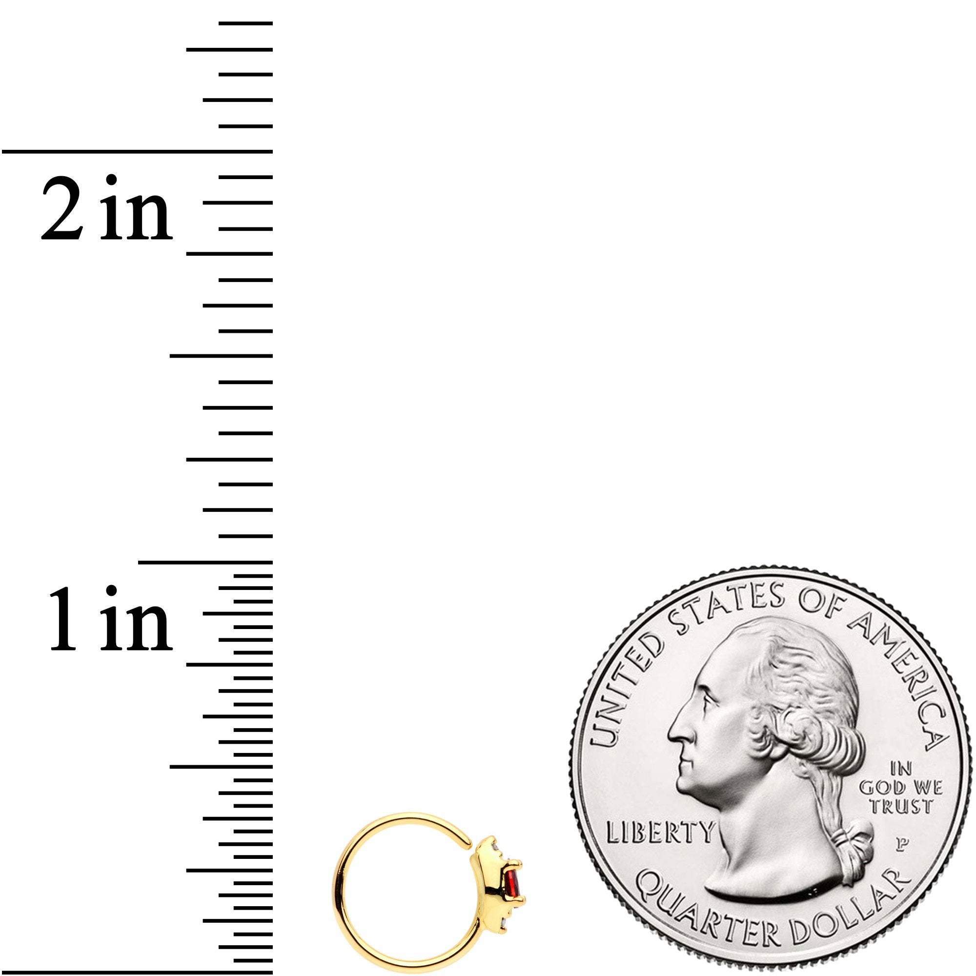 20G 5/16 Red Clear CZ Gem Gold Tone Seamless Circular Ring