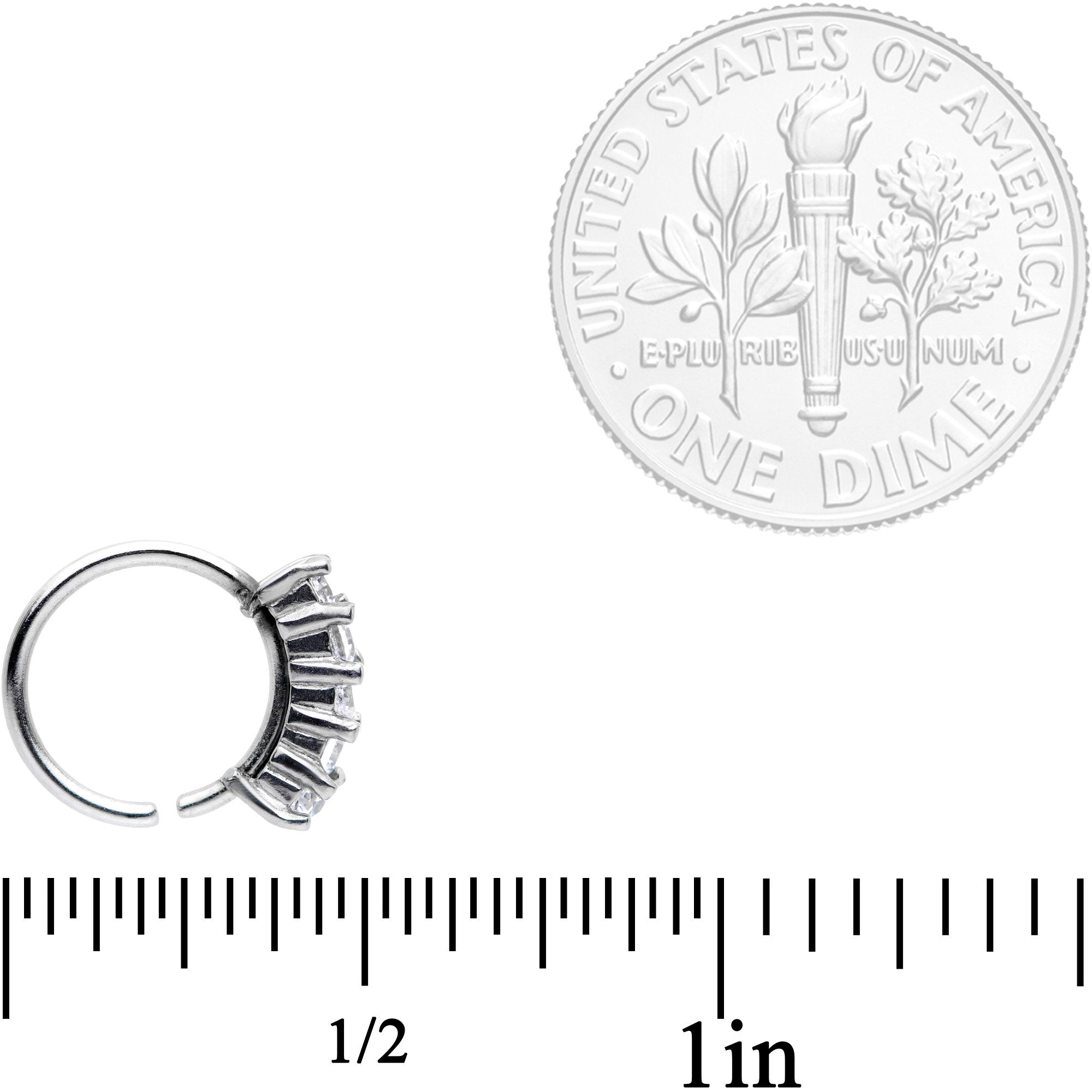 18G 5/16 Clear CZ Gem Crowning Glory Seamless Circular Ring