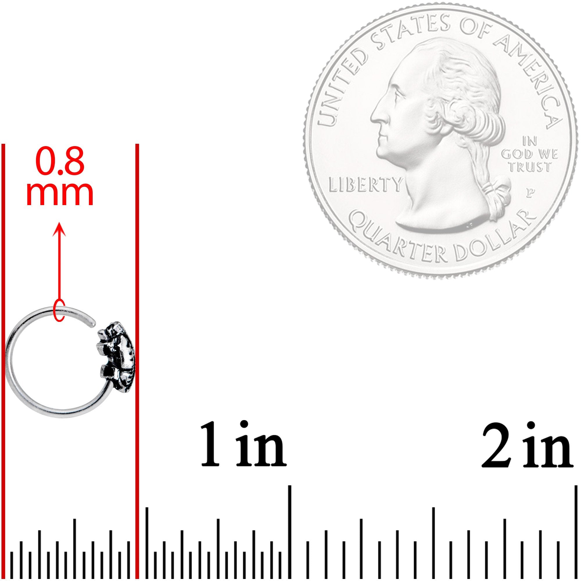 20G 5/16 Feather Seamless Circular Ring