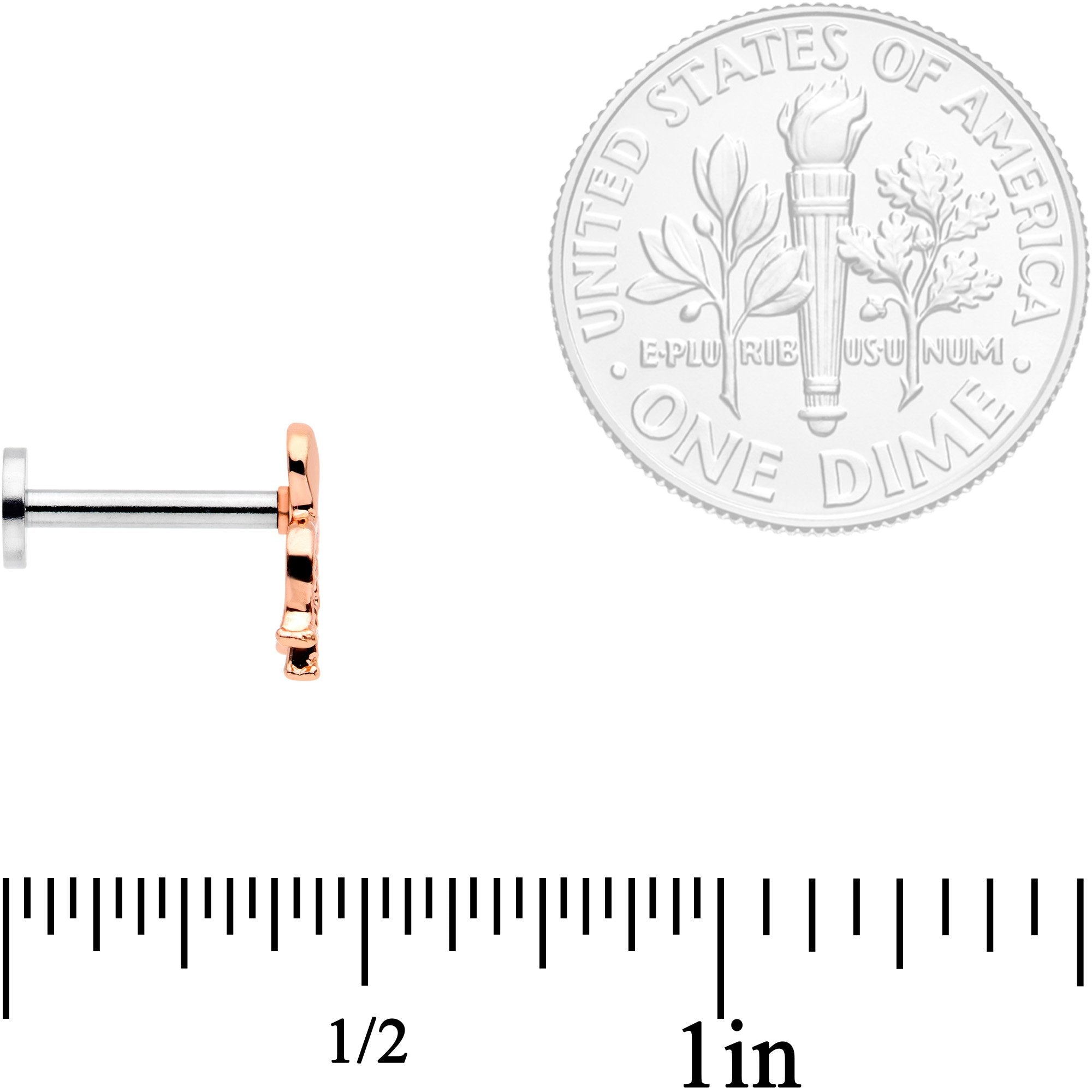 16G 5/16 Multicolor Internally Threaded Octopus Labret Set of 4