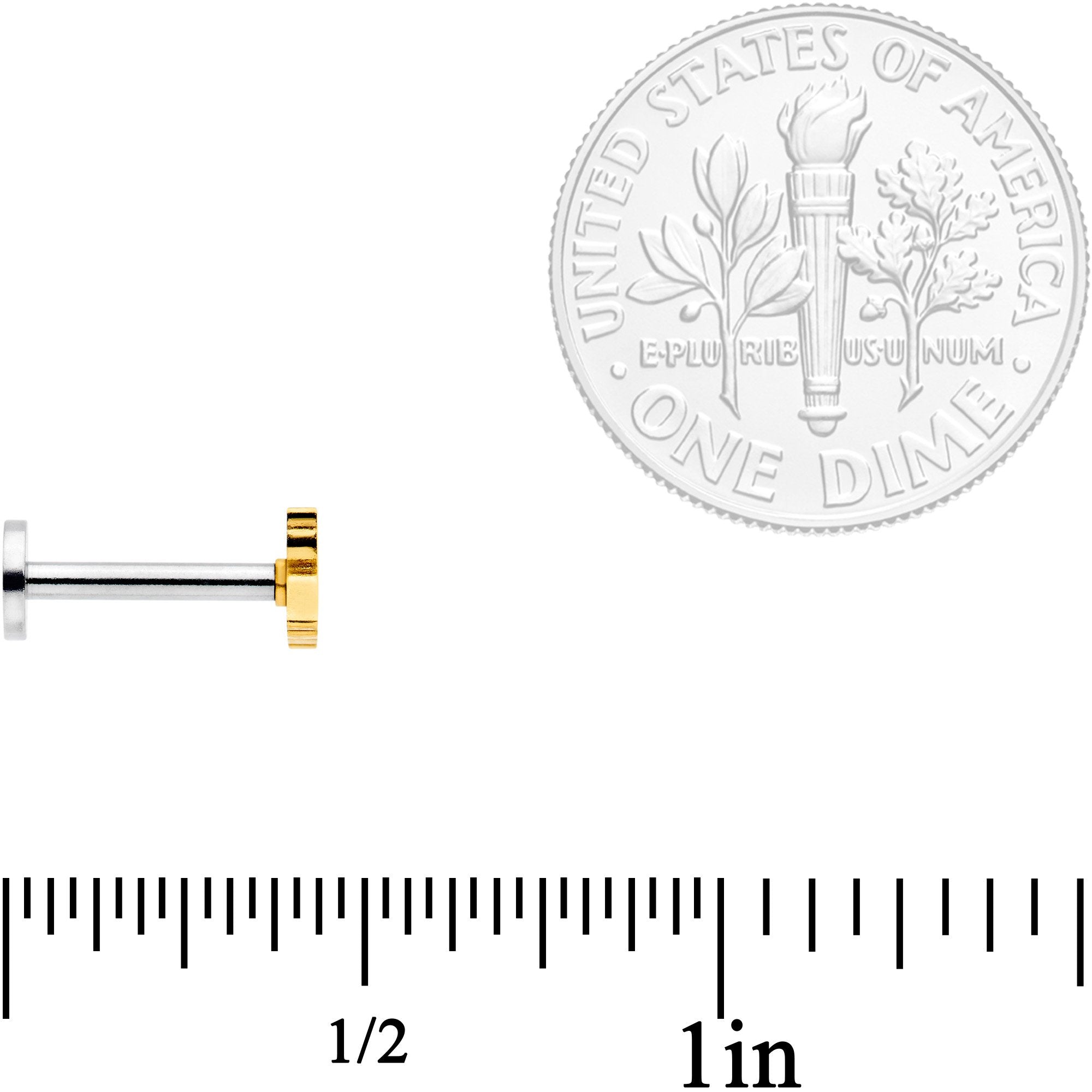 16G 5/16 Multicolor Internally Threaded Kitty Cat Labret Set of 4