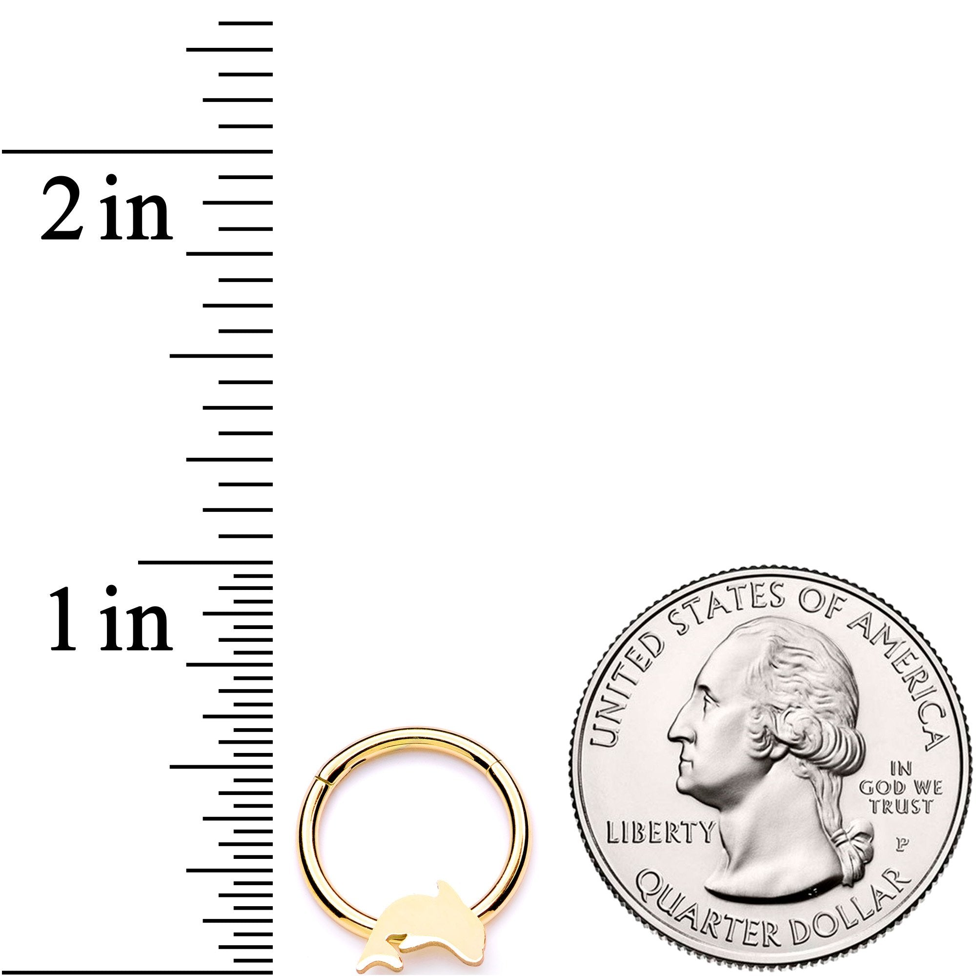 16G 3/8 Gold Tone Leaping Dolphin Hinged Segment Ring