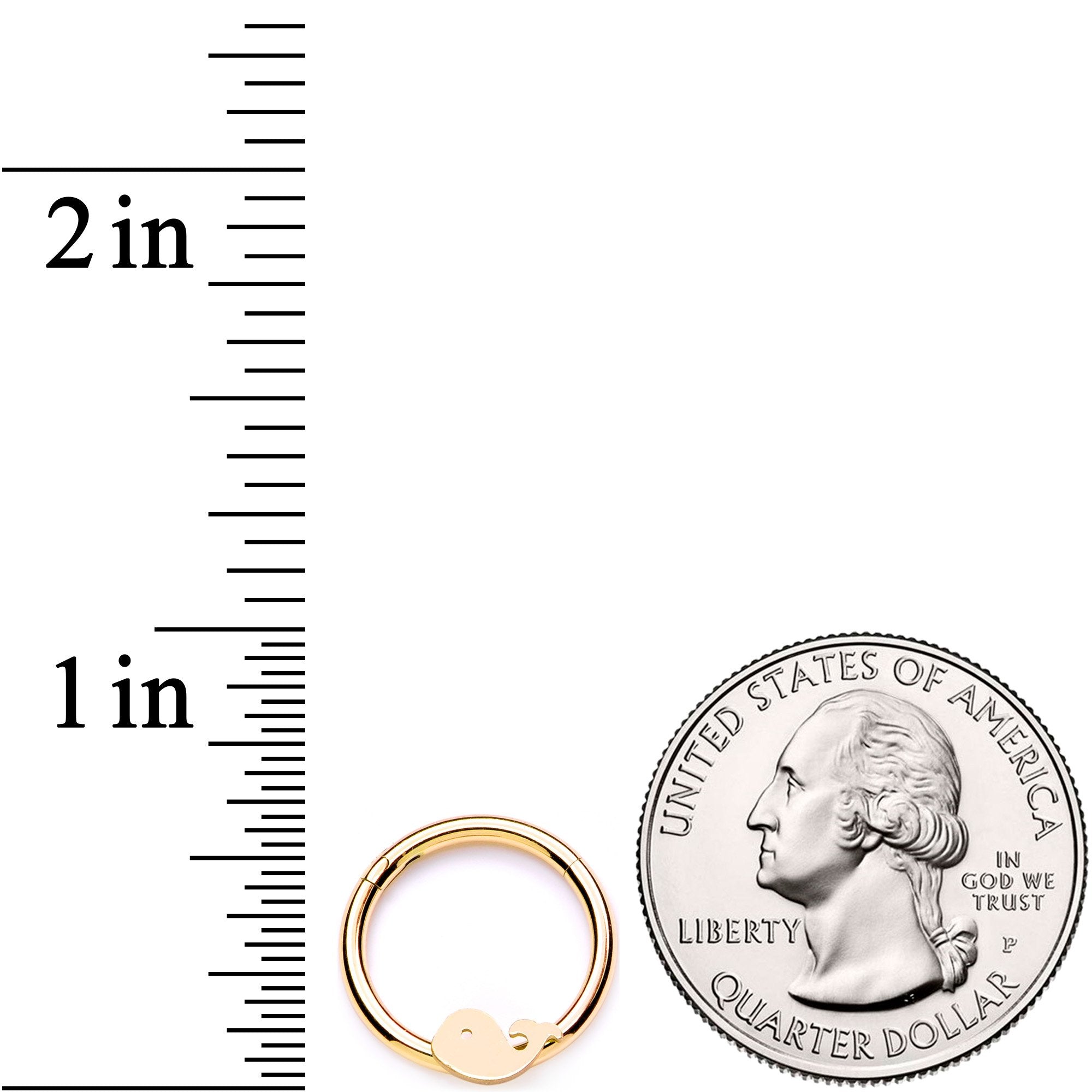 16G 3/8 Gold Tone Whale of a Hinged Segment Ring