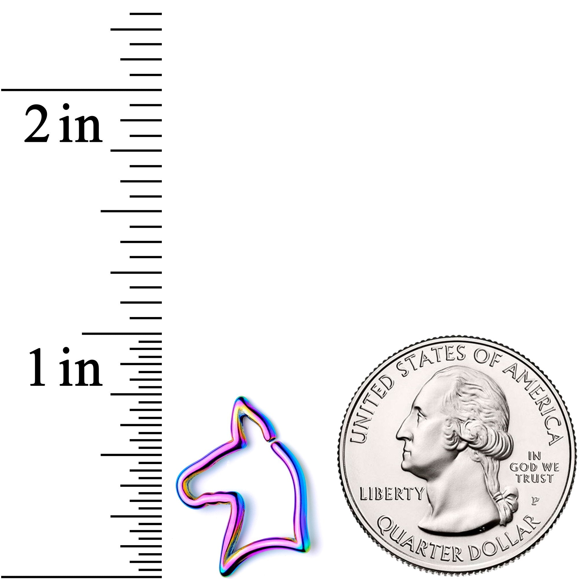 16G 5/16 Rainbow Darling Doggy Cartilage Closure Ring