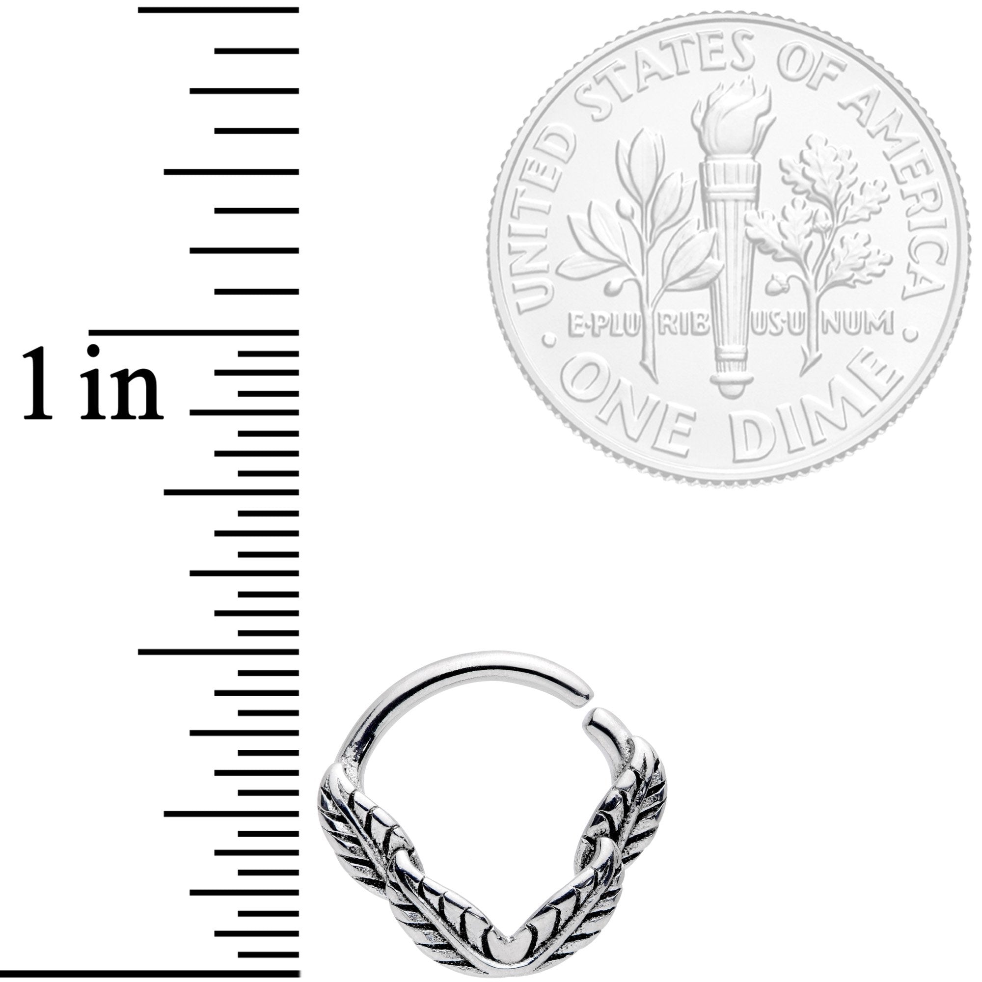 16G 3/8 Ring of Feathers Closure Ring