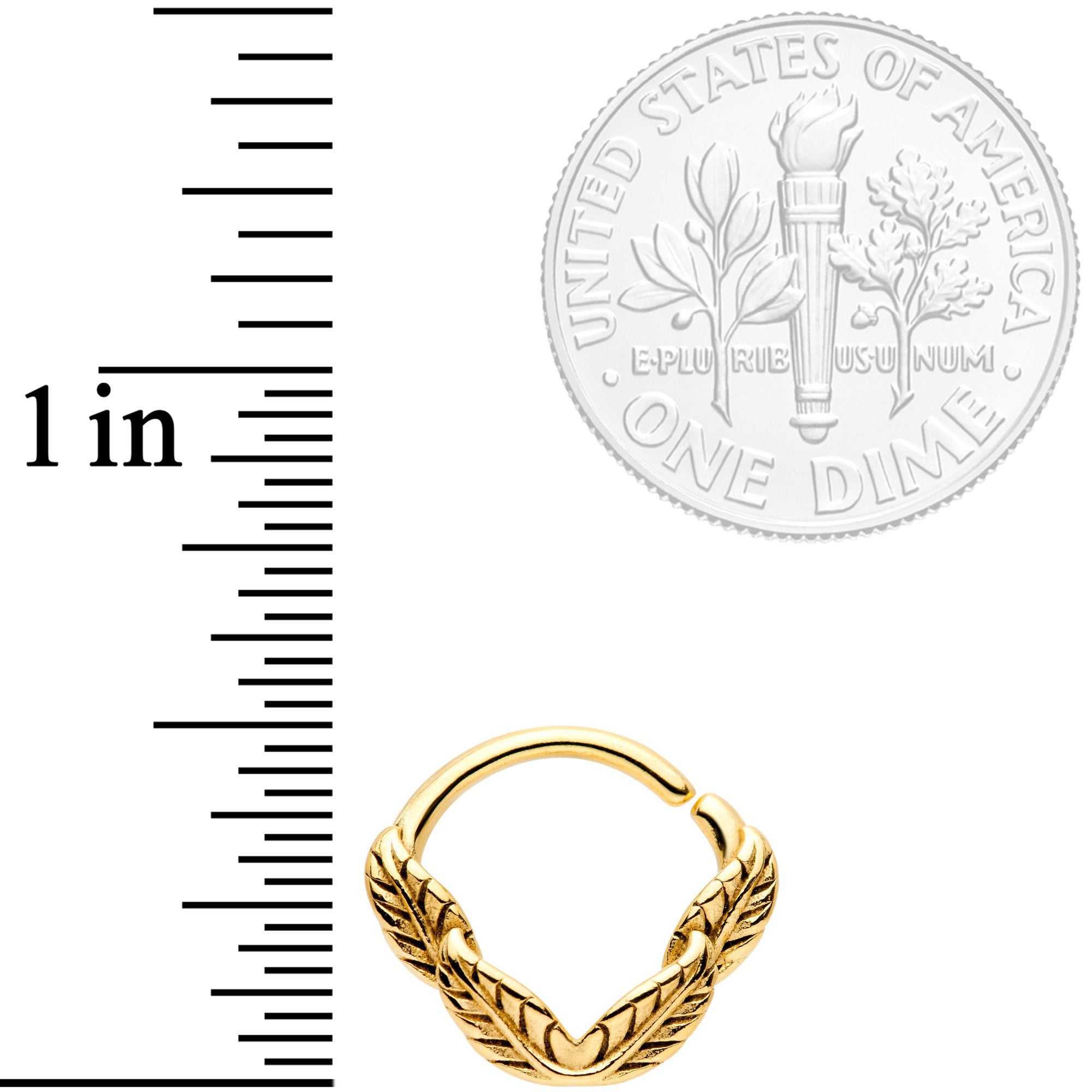 16G 3/8 Gold Tone Ring of Feathers Closure Ring