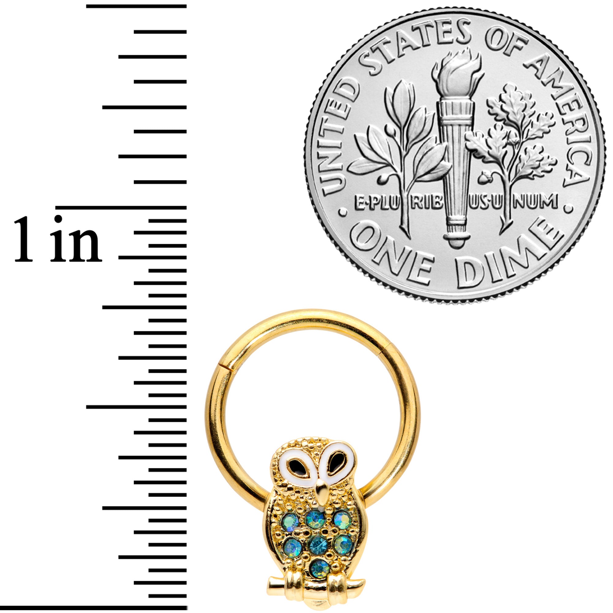 16G 3/8 Aqua Gem Gold Tone Barn Owl Hinged Segment Ring