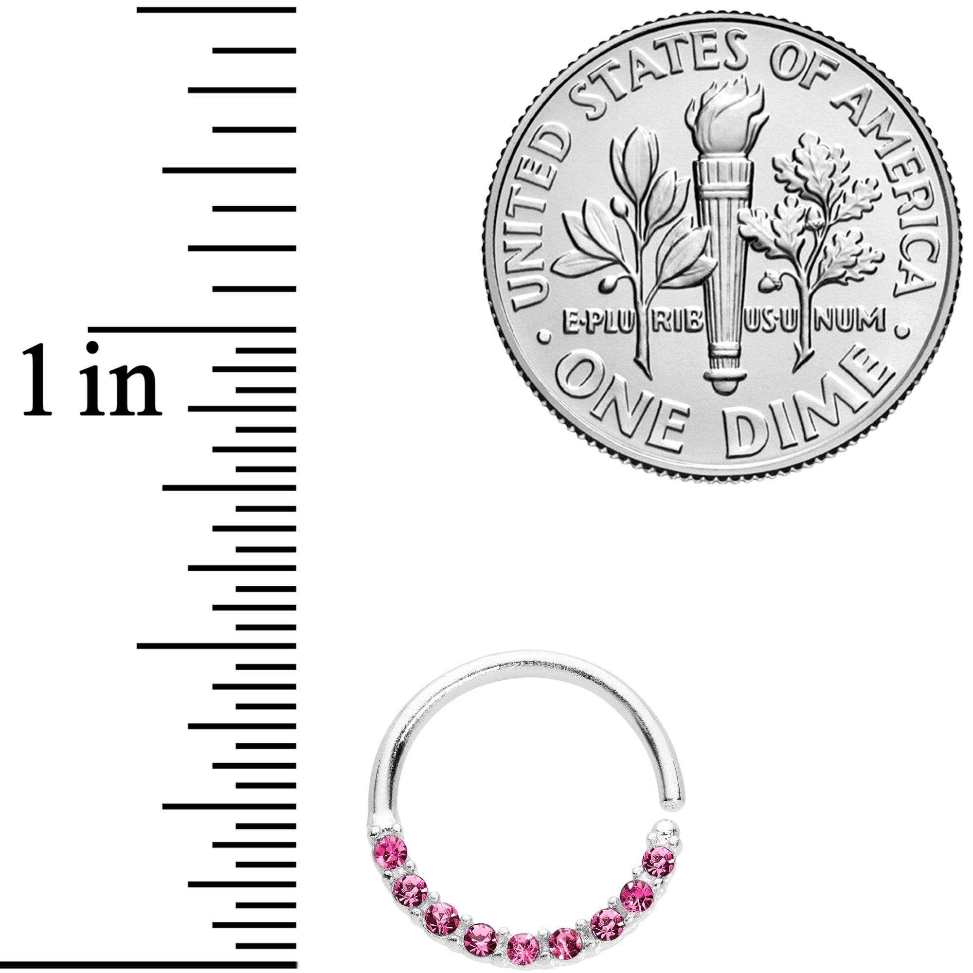 16G 3/8 Pink Gem Simple Elegance Seamless Circular Ring