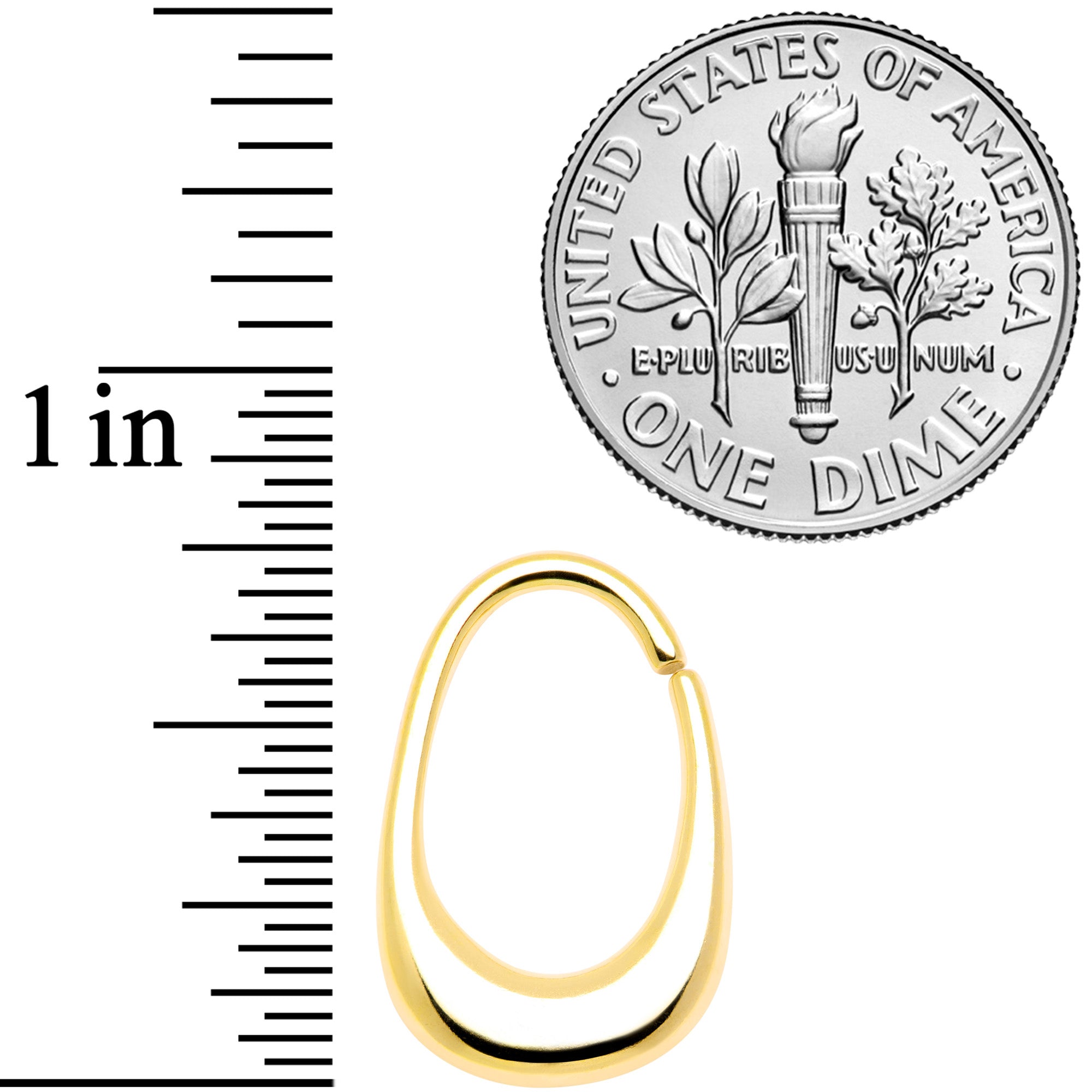 16G 5/16 Gold Tone Oval Cartilage Tragus Daith