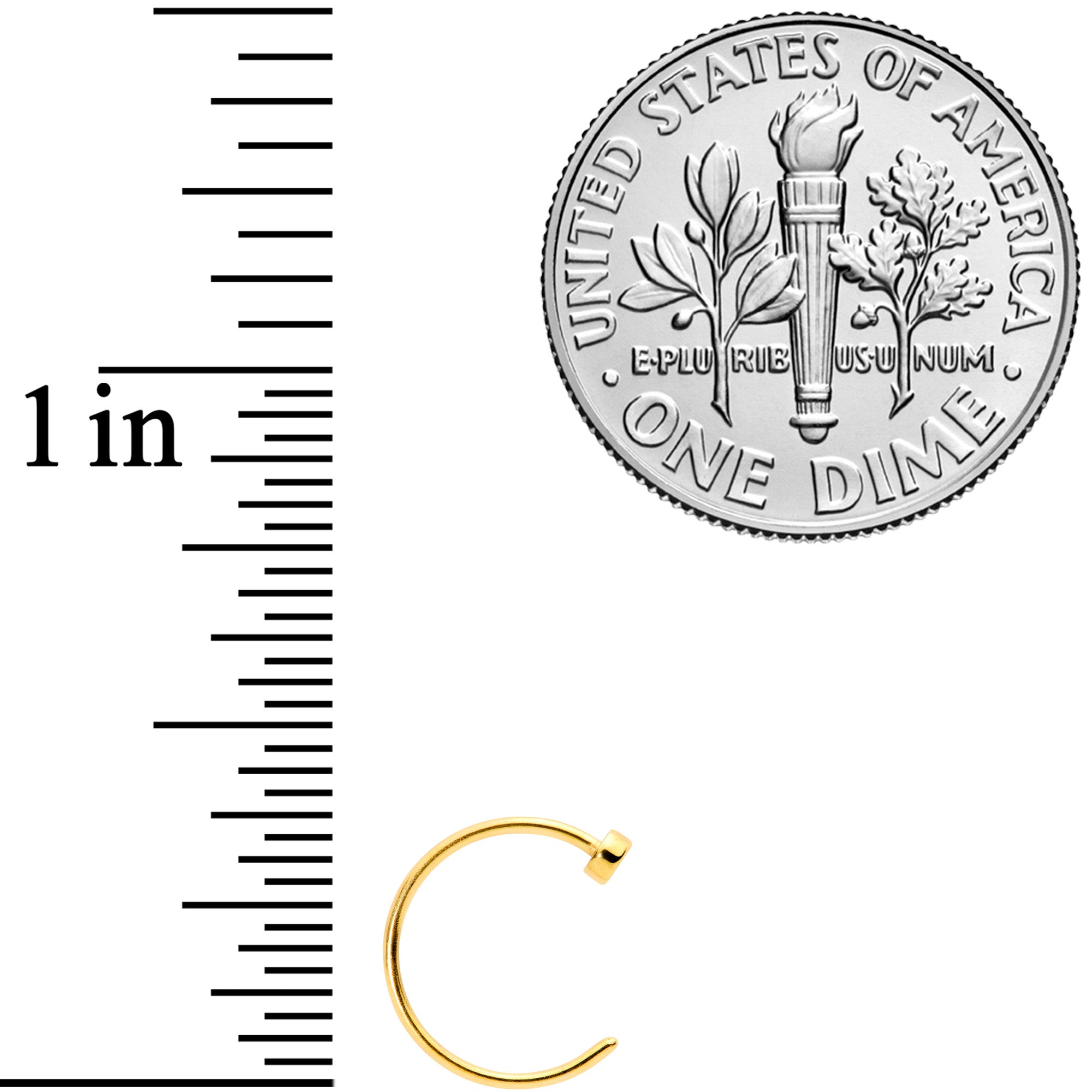 22G 5/16 Gold Tone Disc Nose Hoop