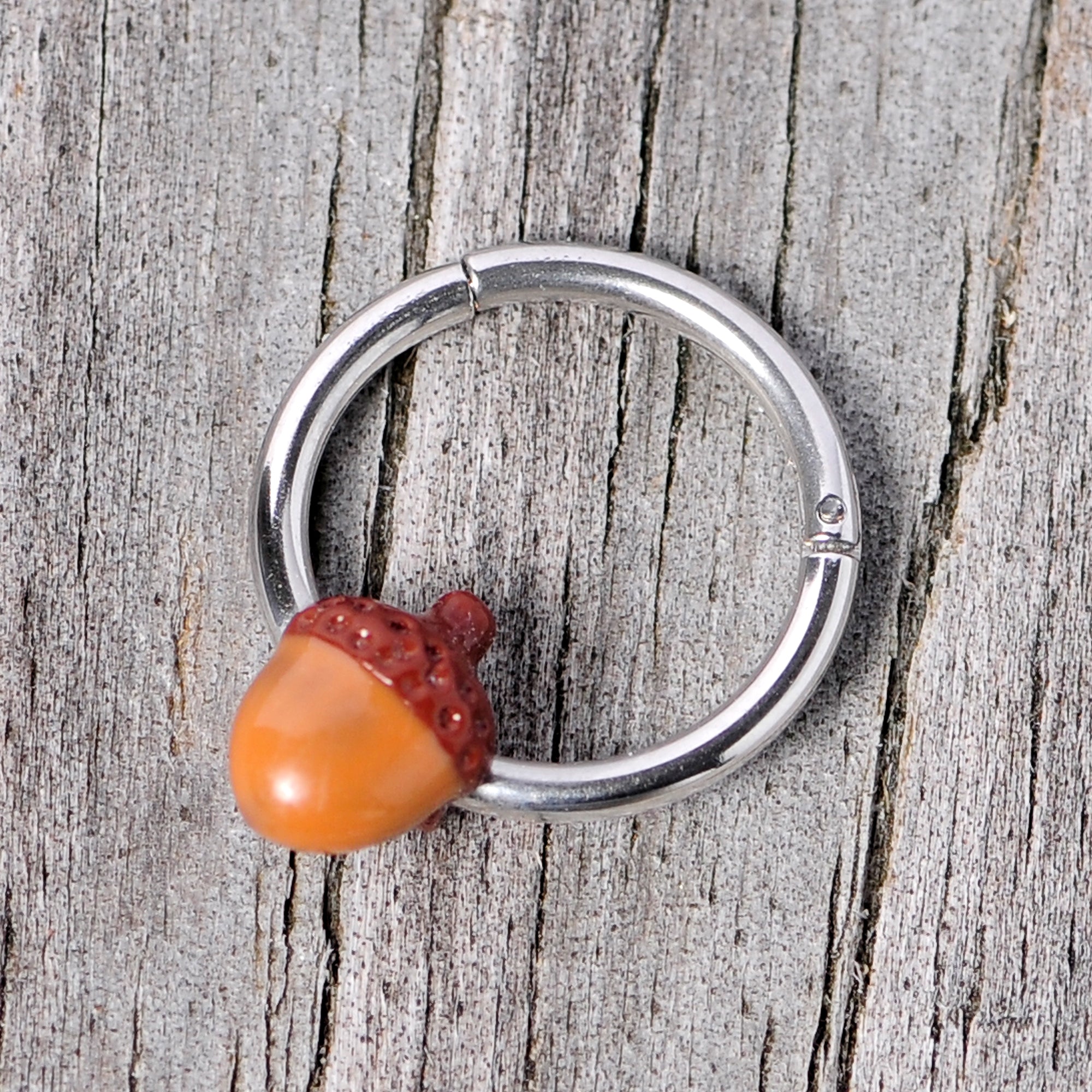 16G 3/8 Brown Autumn Acorn Hinged Segment Ring