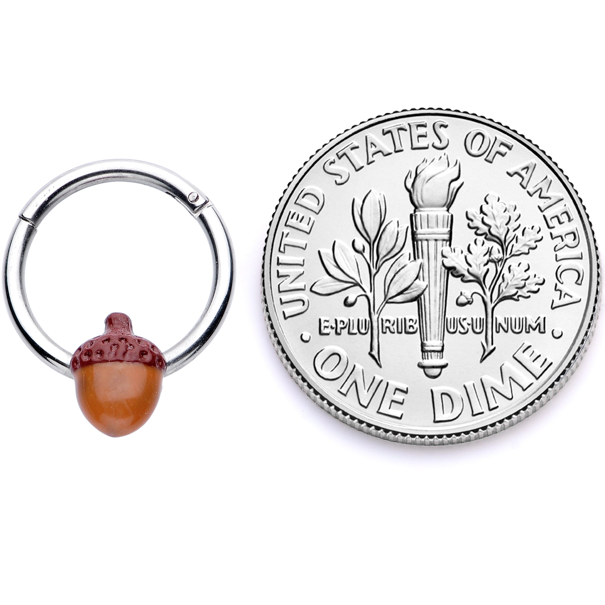 16G 3/8 Brown Autumn Acorn Hinged Segment Ring