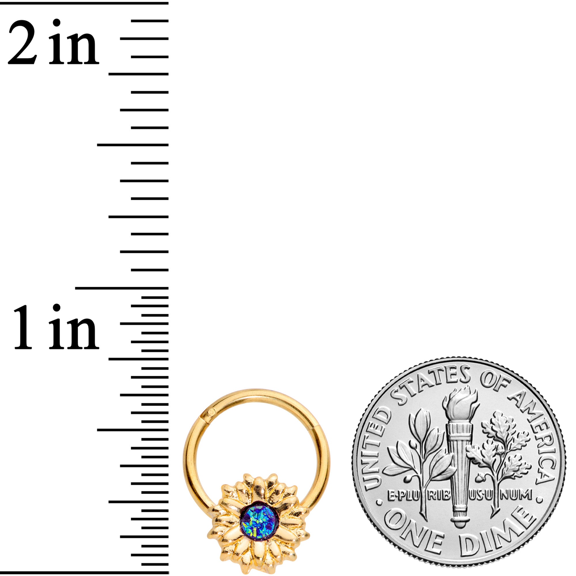 16G 3/8 Gold Tone Blue Center Sunflower Hinged Segment Ring