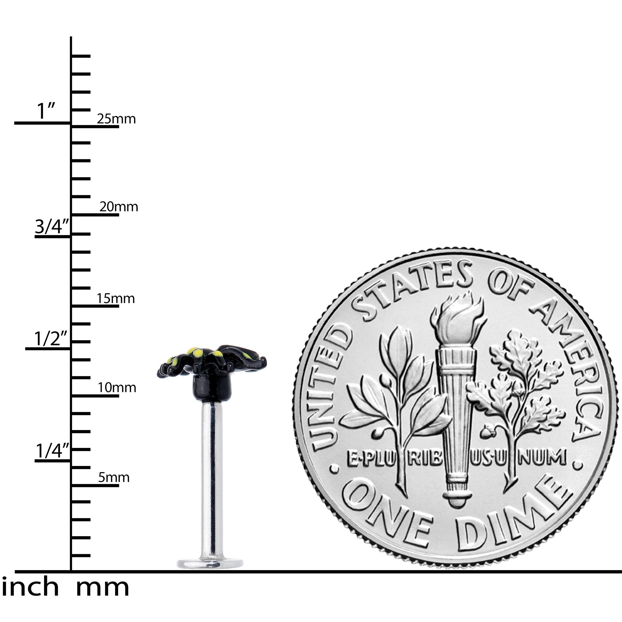 16G 5/16 Black Yellow Spooky Spider Halloween Labret Monroe Tragus