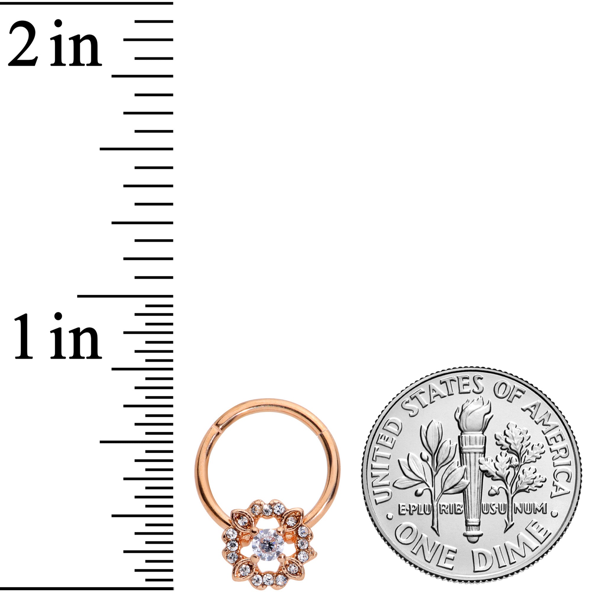 16G 3/8 Clear Gem Rose Gold Tone Wreath Hinged Segment Ring