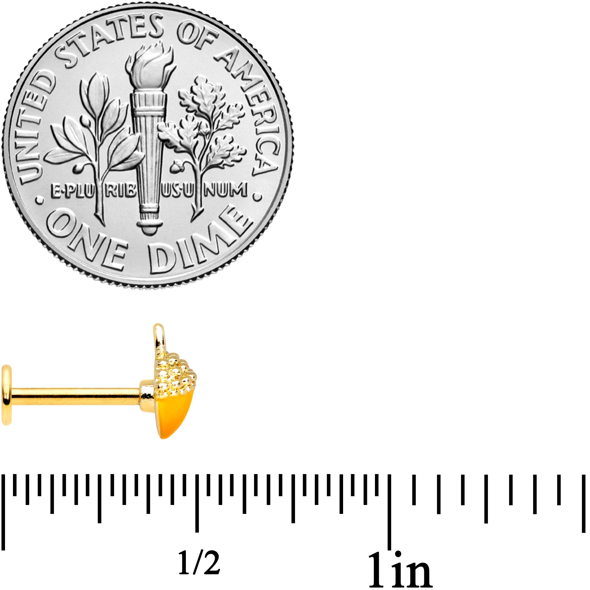 16G 5/16 Gold Tone Orange Acorn Labret Monroe Tragus