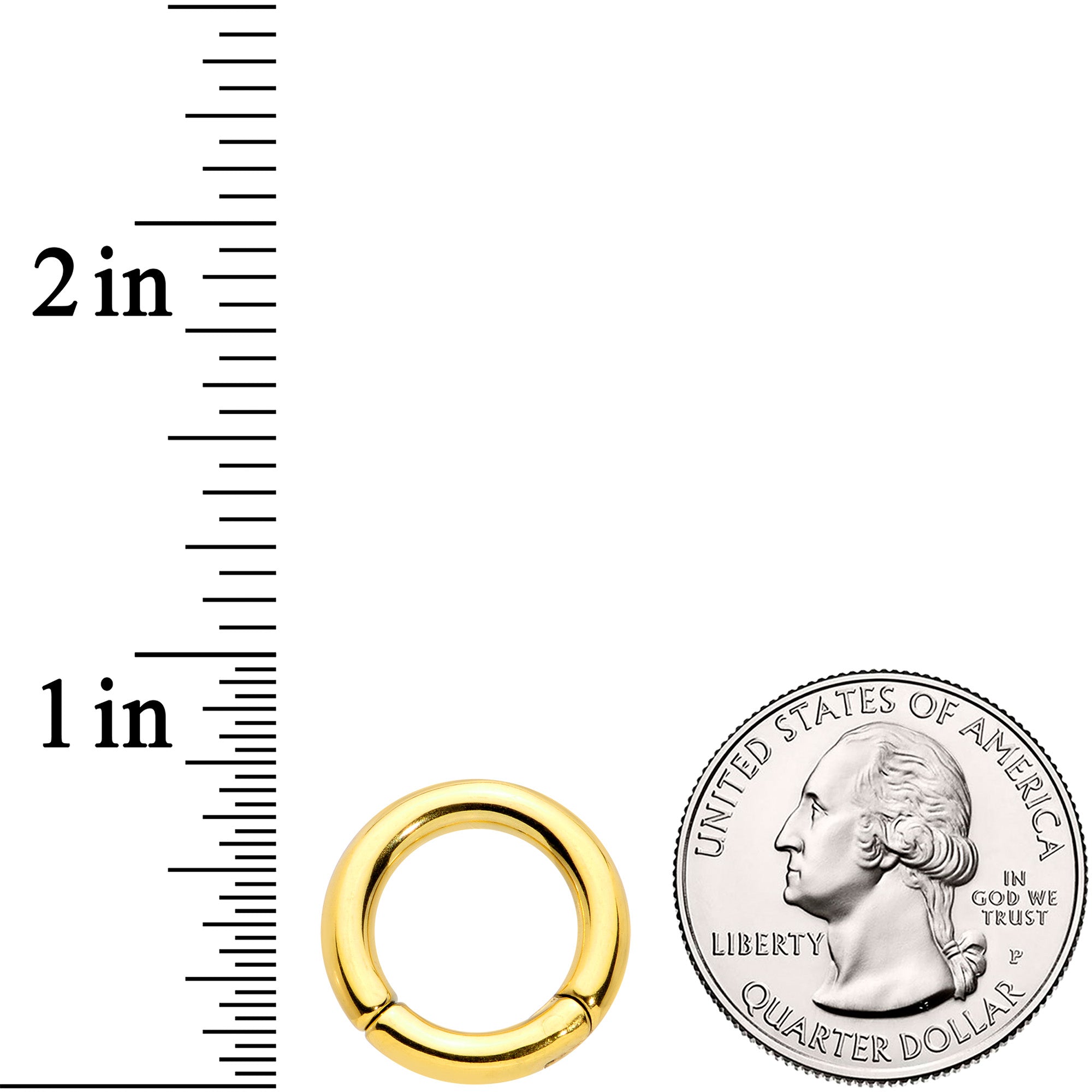 8G 1/2 Gold Tone PVD Steel Hinged Segment Ring