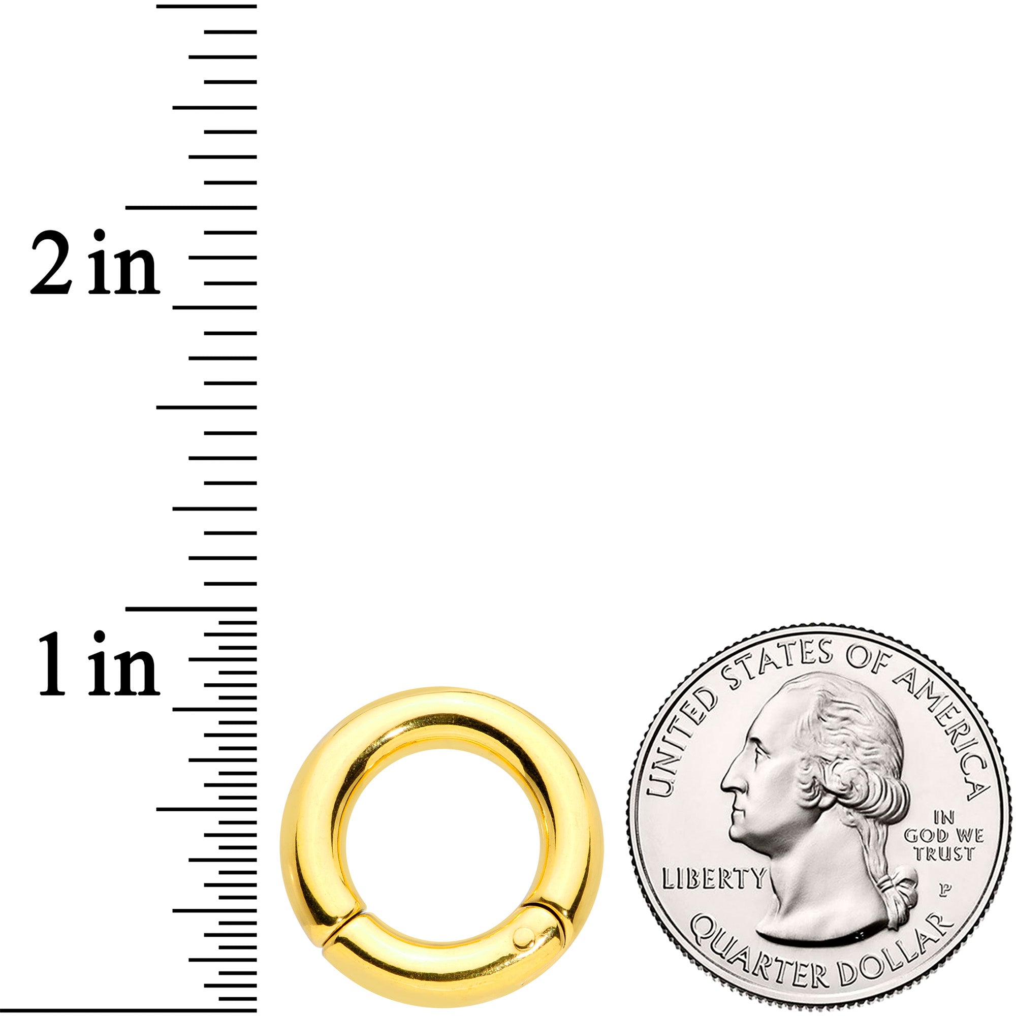 6G 1/2 Gold Tone PVD Steel Hinged Segment Ring