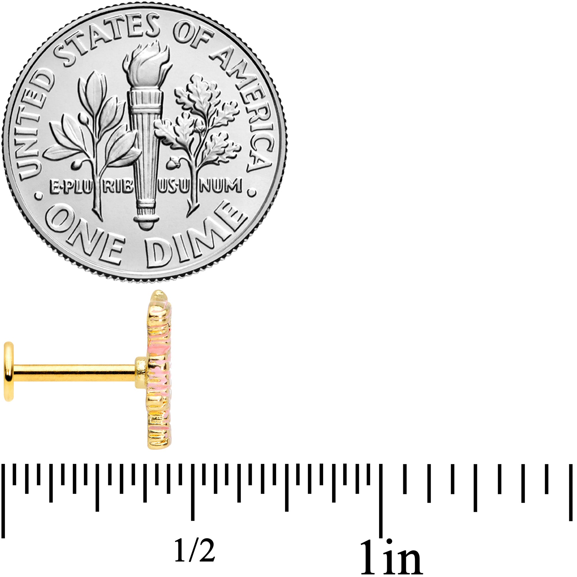 16G 5/16 Gold Tone Mummy Halloween Labret Monroe Tragus