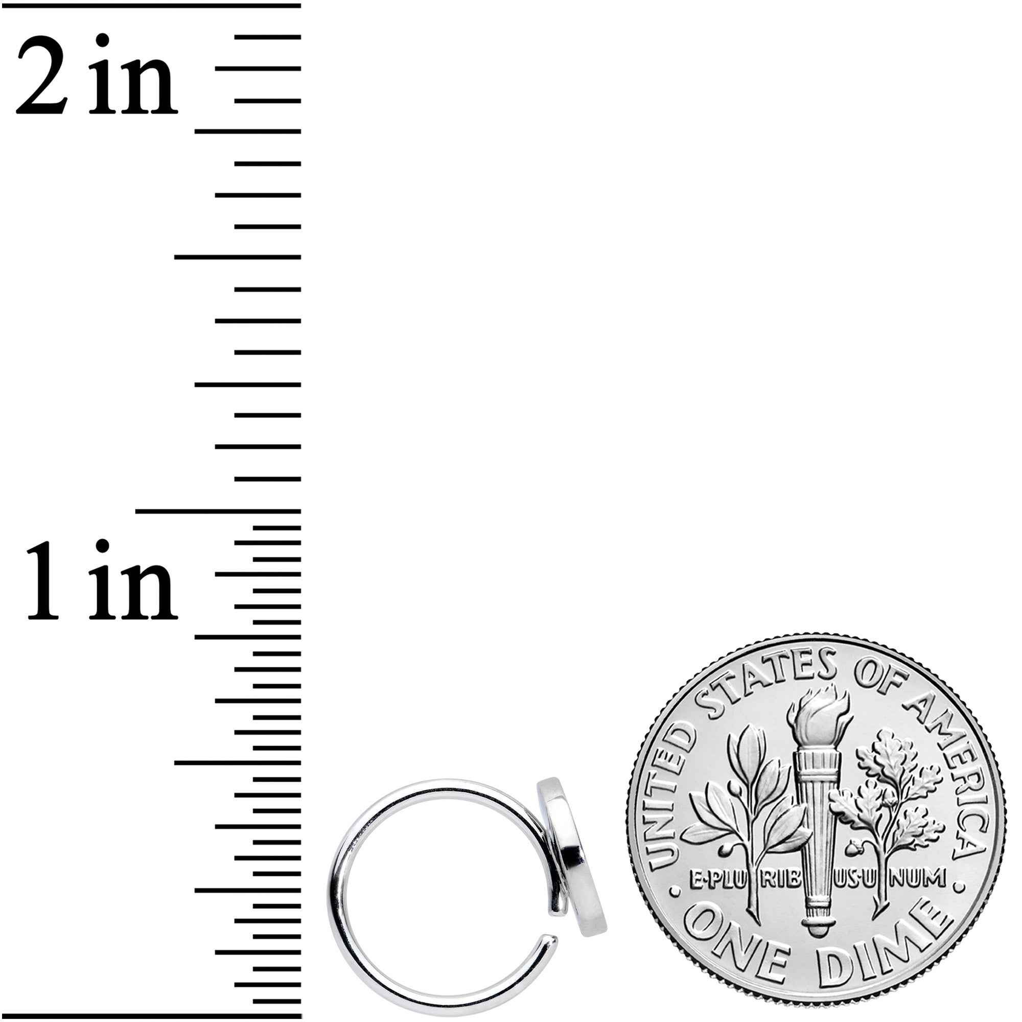 18G 3/8 Red Green Juicy Watermelon Fruit Nose Hoop