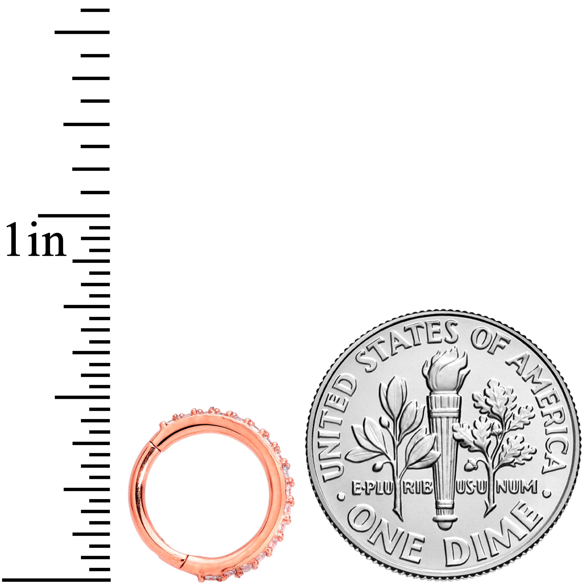 16G 5/16 Clear CZ Gem Rose Gold Tone Hinged Segment Ring