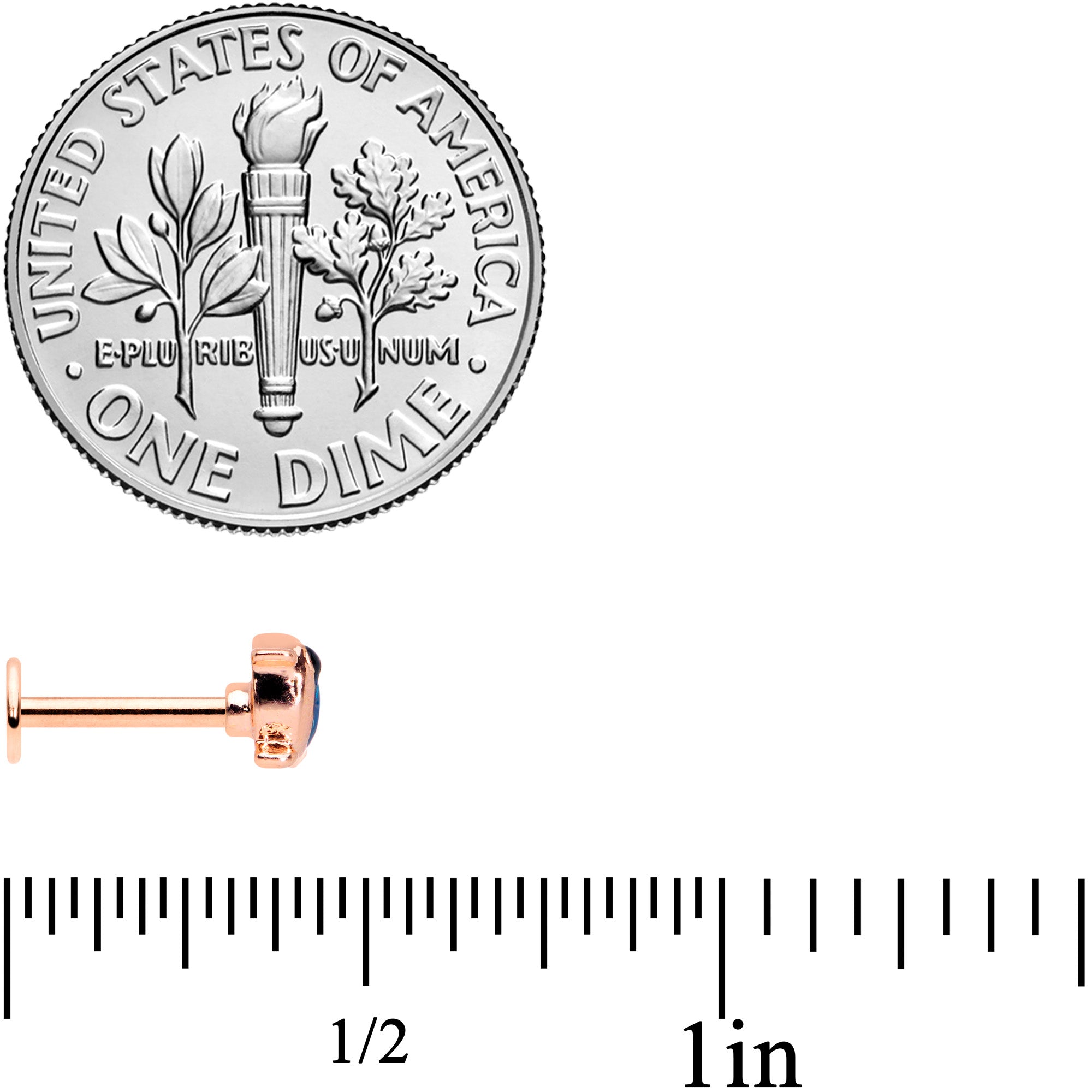 16G 5/16 Rose Gold Tone Blue Bird Labret Monroe Tragus