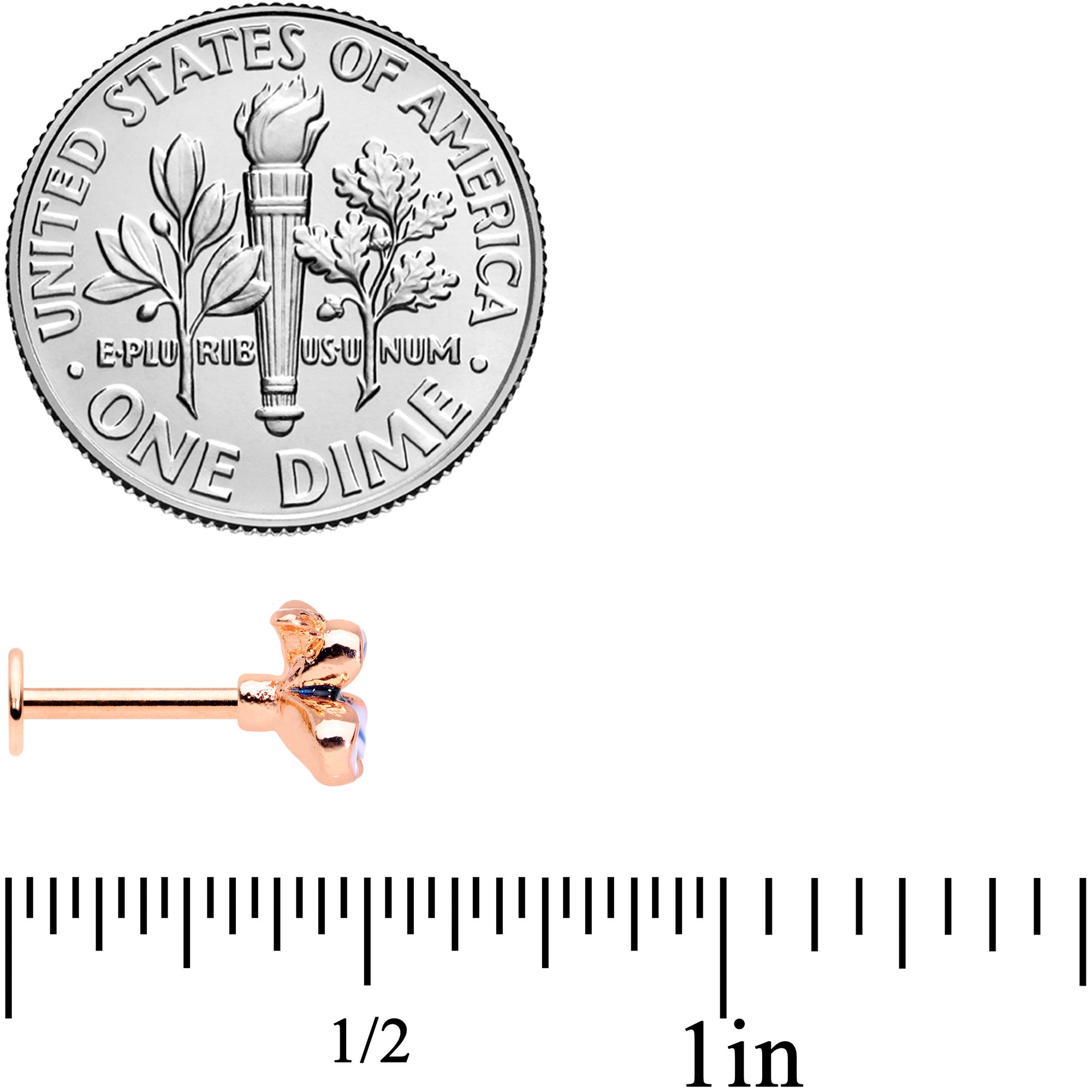 16G 5/16 Rose Gold Tone Blue Tropical Flower Labret Monroe Tragus