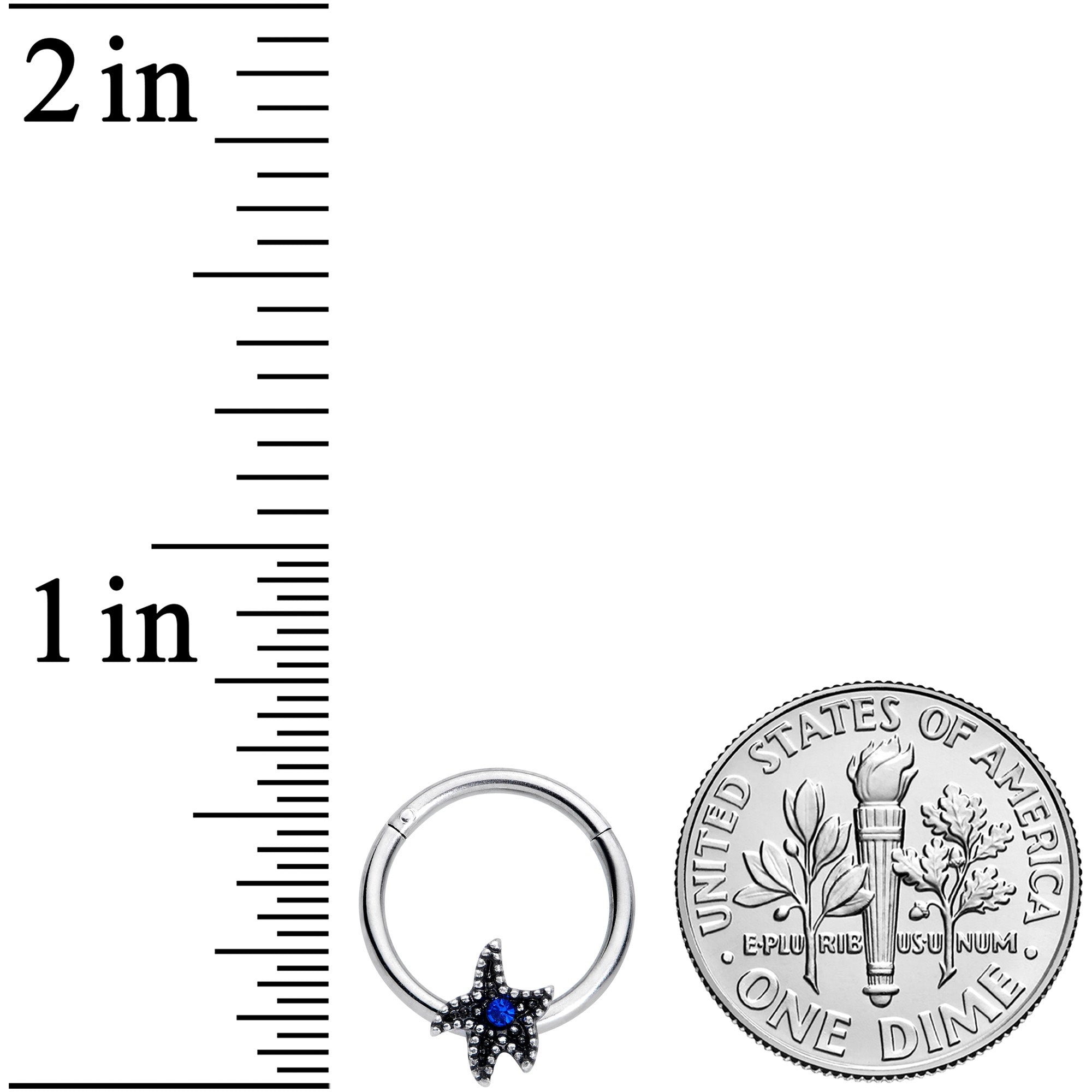 16G 3/8 Blue Gem Super Starfish Nautical Hinged Segment Ring