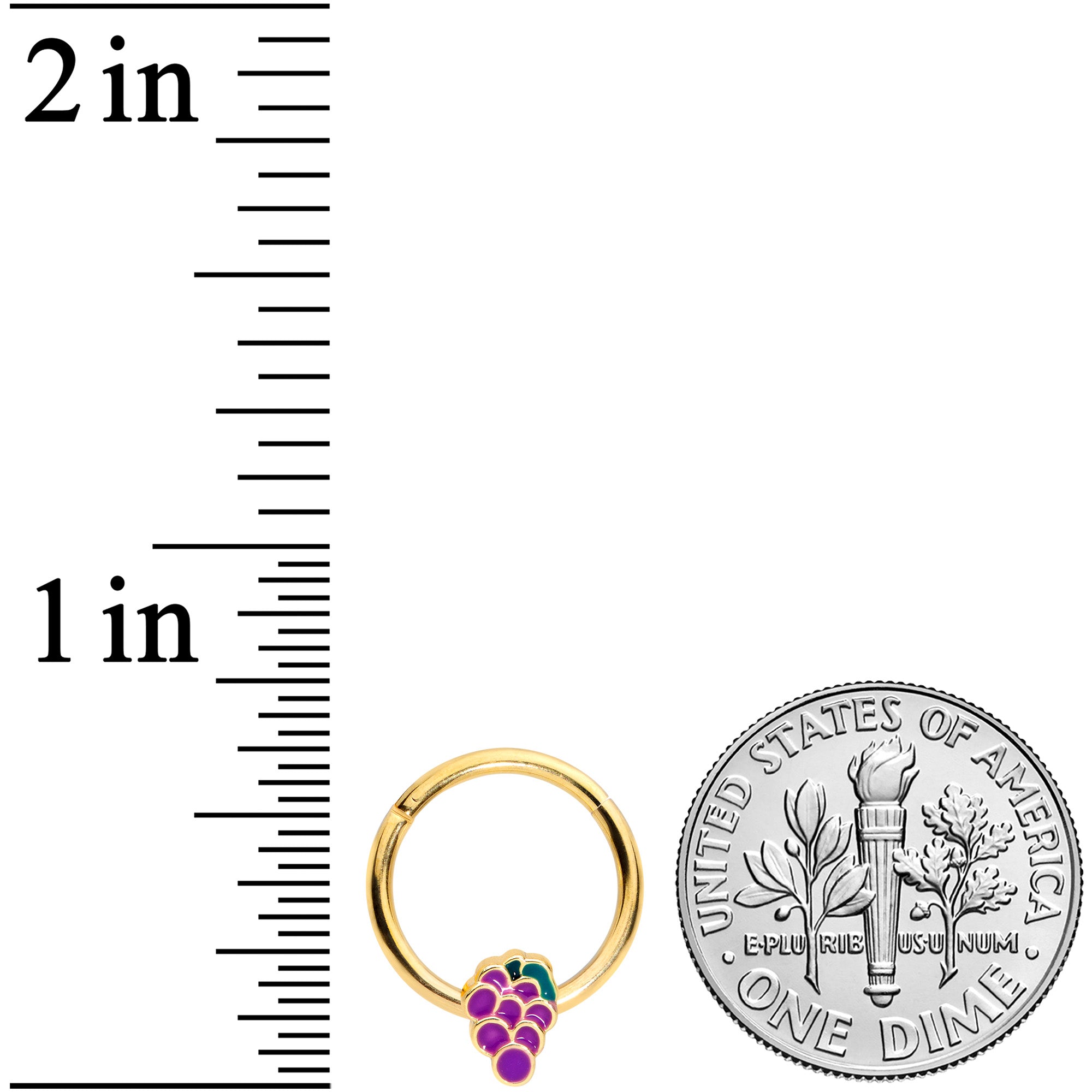 16G 3/8 Gold Tone Sweet Purple Grapes Hinged Segment Ring