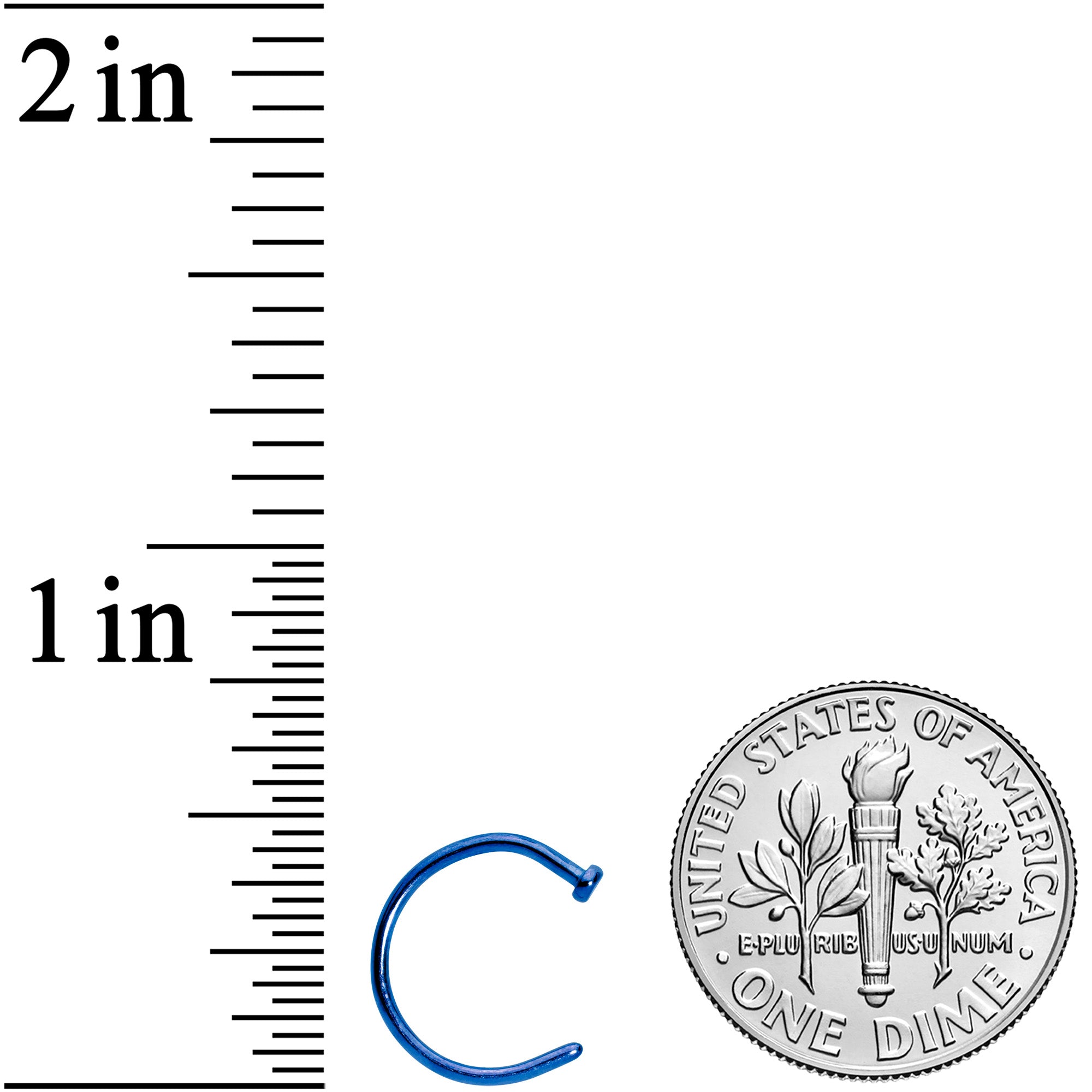 18G 3/8 Blue PVD Implant Grade Titanium Disc Nose Hoop