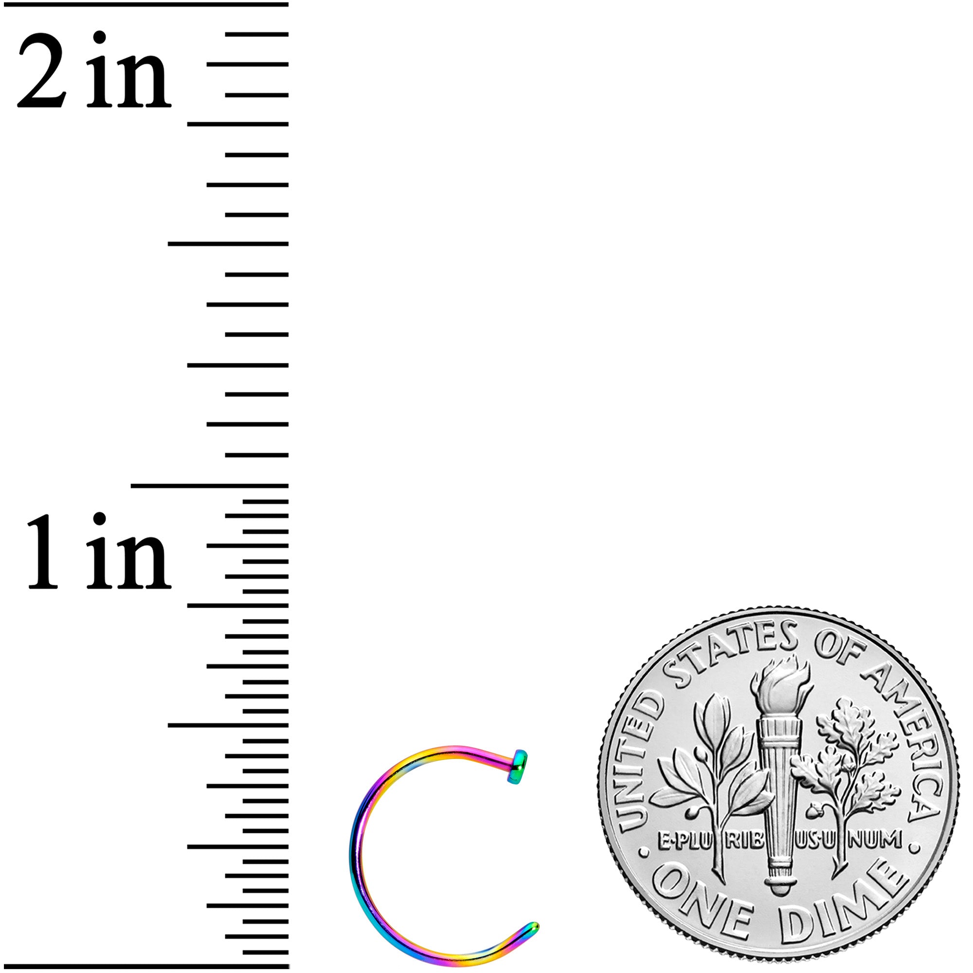 20G 3/8 Rainbow PVD Implant Grade Titanium Disc Nose Hoop