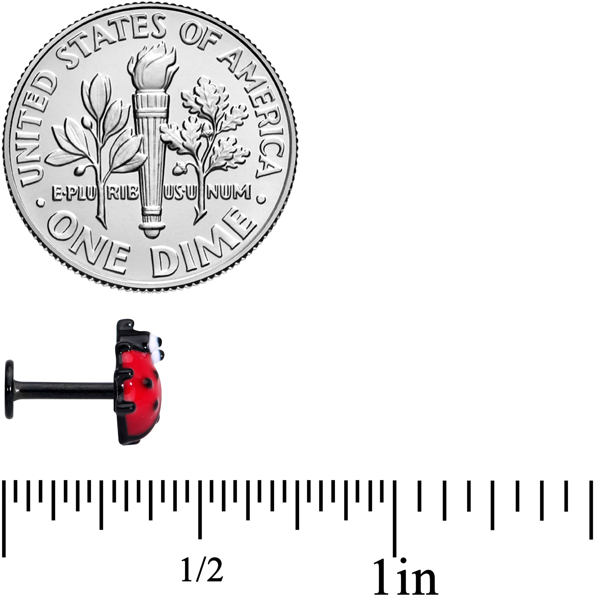 16G 1/4 Black Insect Ladybug Labret Monroe Tragus