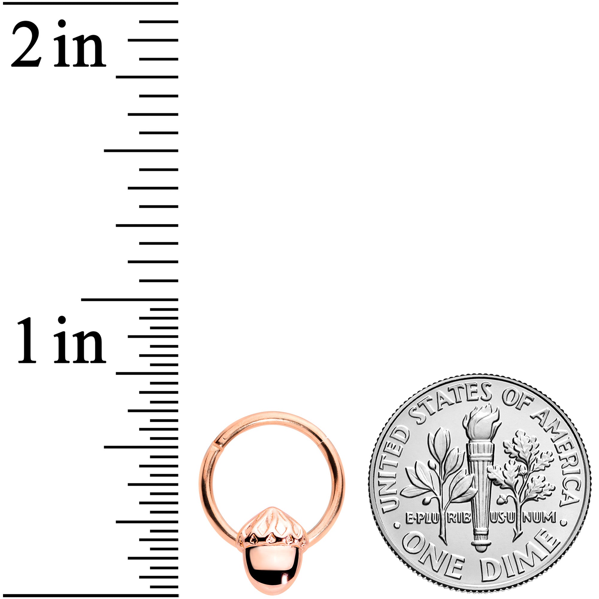 16G 3/8 Rose Gold Tone Simple Acorn Hinged Segment Ring