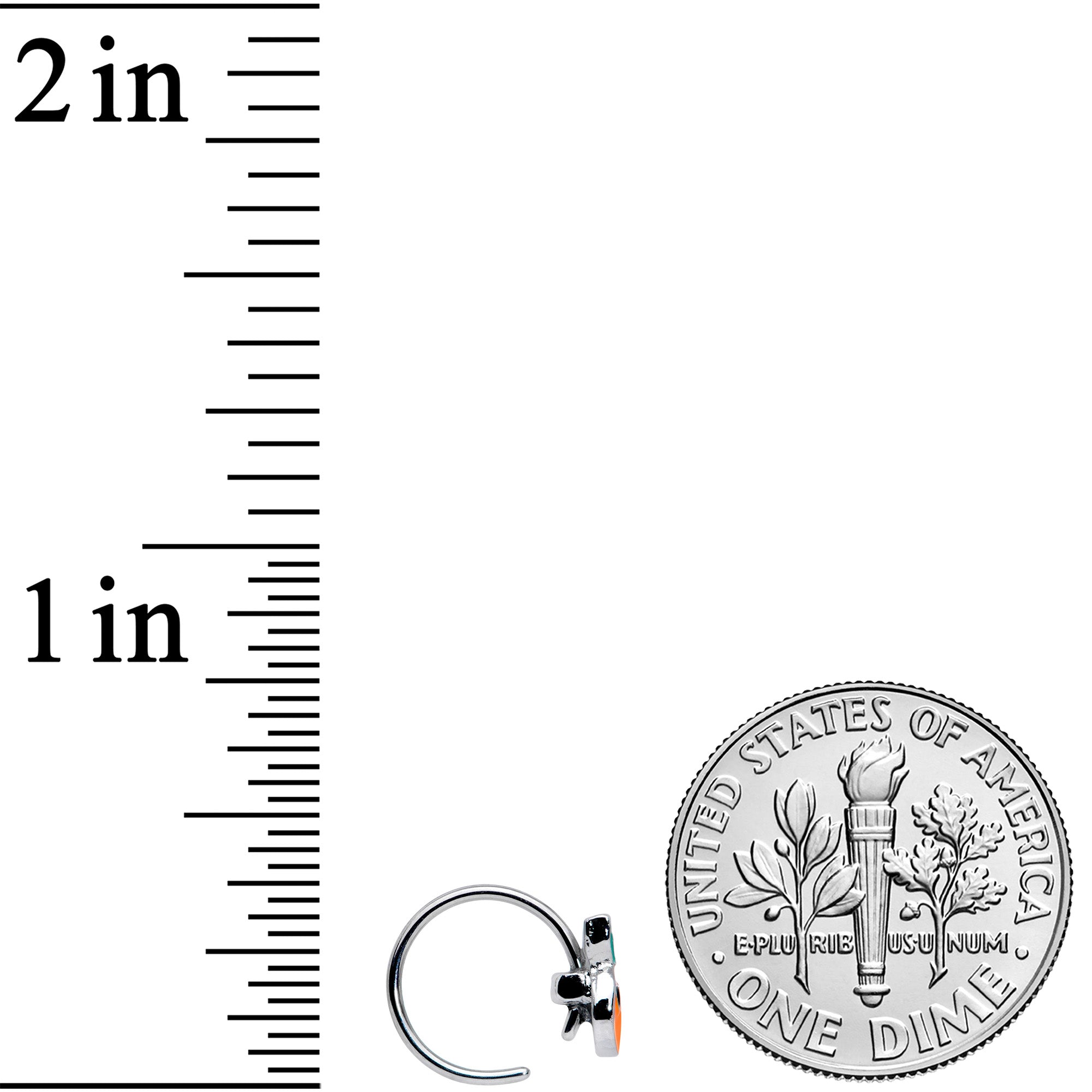 20G 5/16 Citrus Fun Orange Fruit Nose Hoop