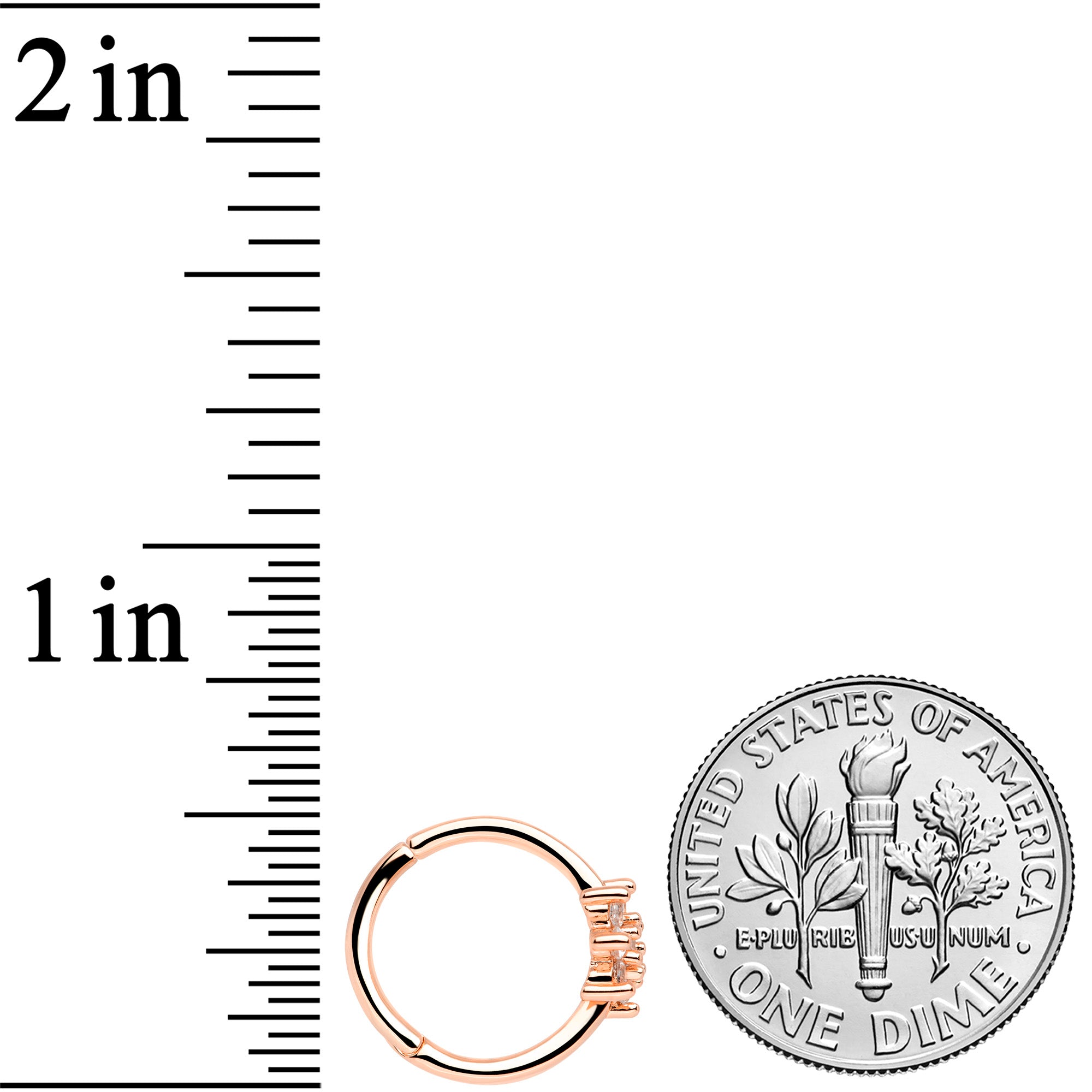16G 3/8 Clear CZ Gem Rose Gold Tone Flower Hinged Segment Ring