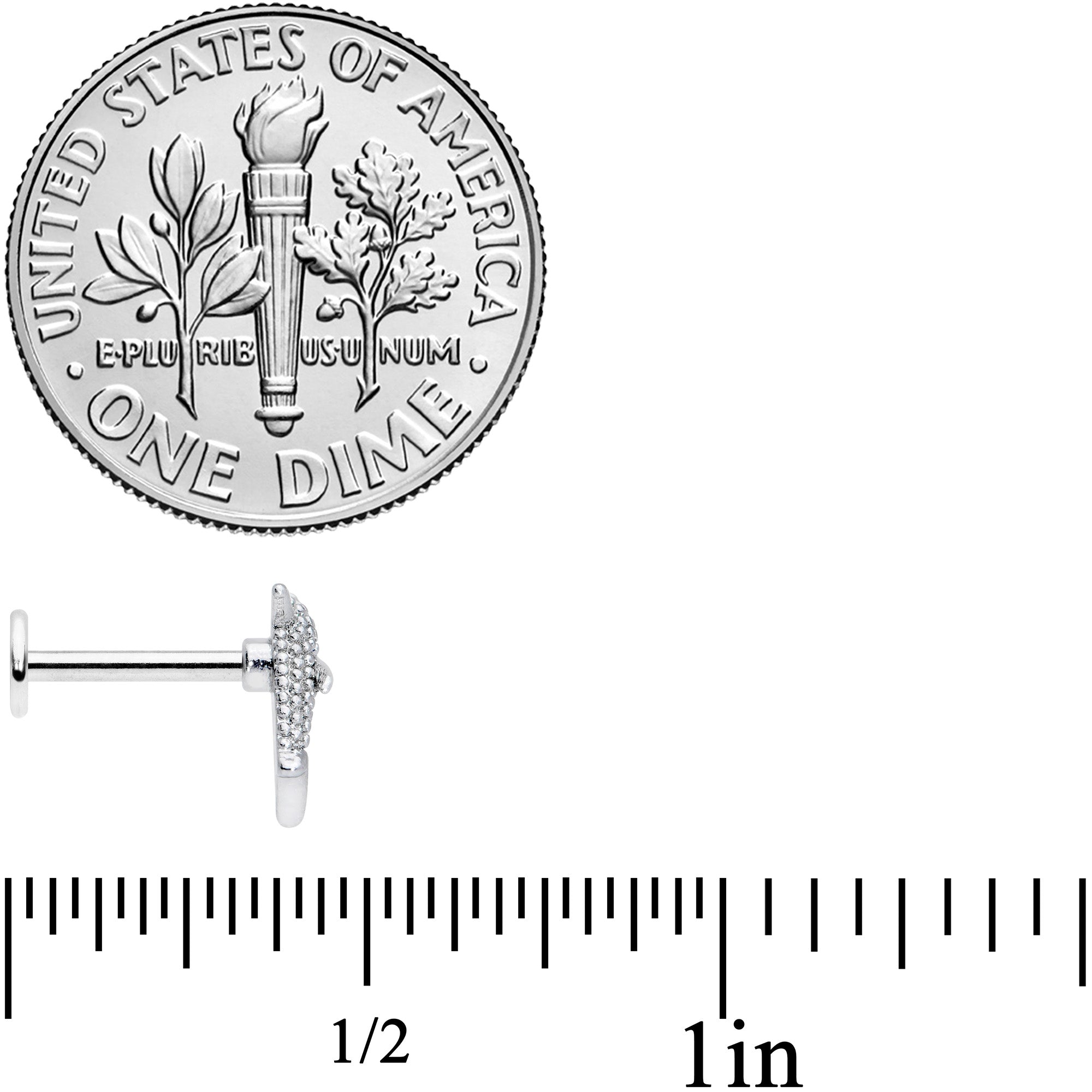 16G 5/16 Black Gem Shark Labret Monroe Tragus