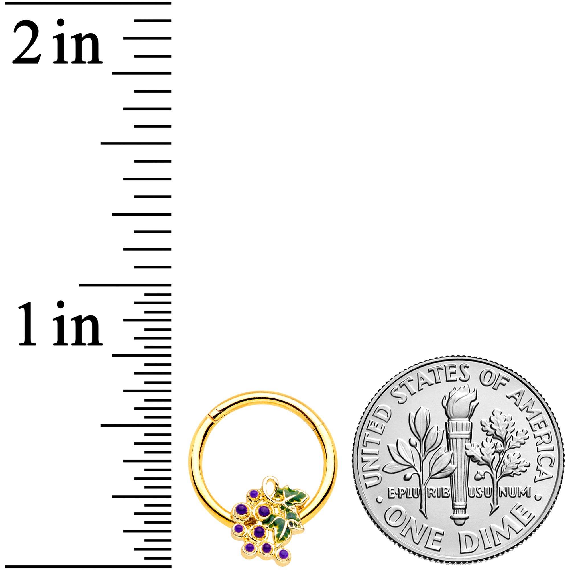 16G 3/8 Gold Tone Yummy Grapes Septum Ring