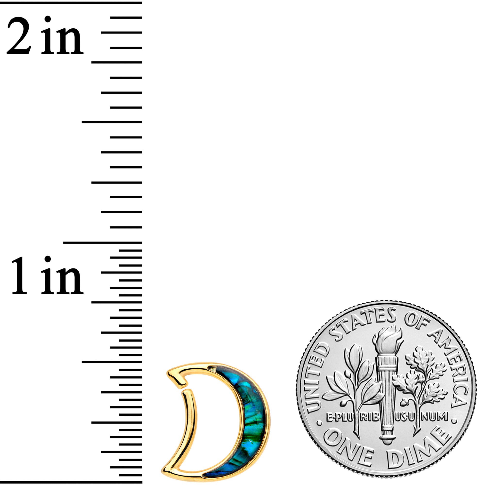 16G 3/8 Gold Tone Moon Sea Left Ear Closure Ring