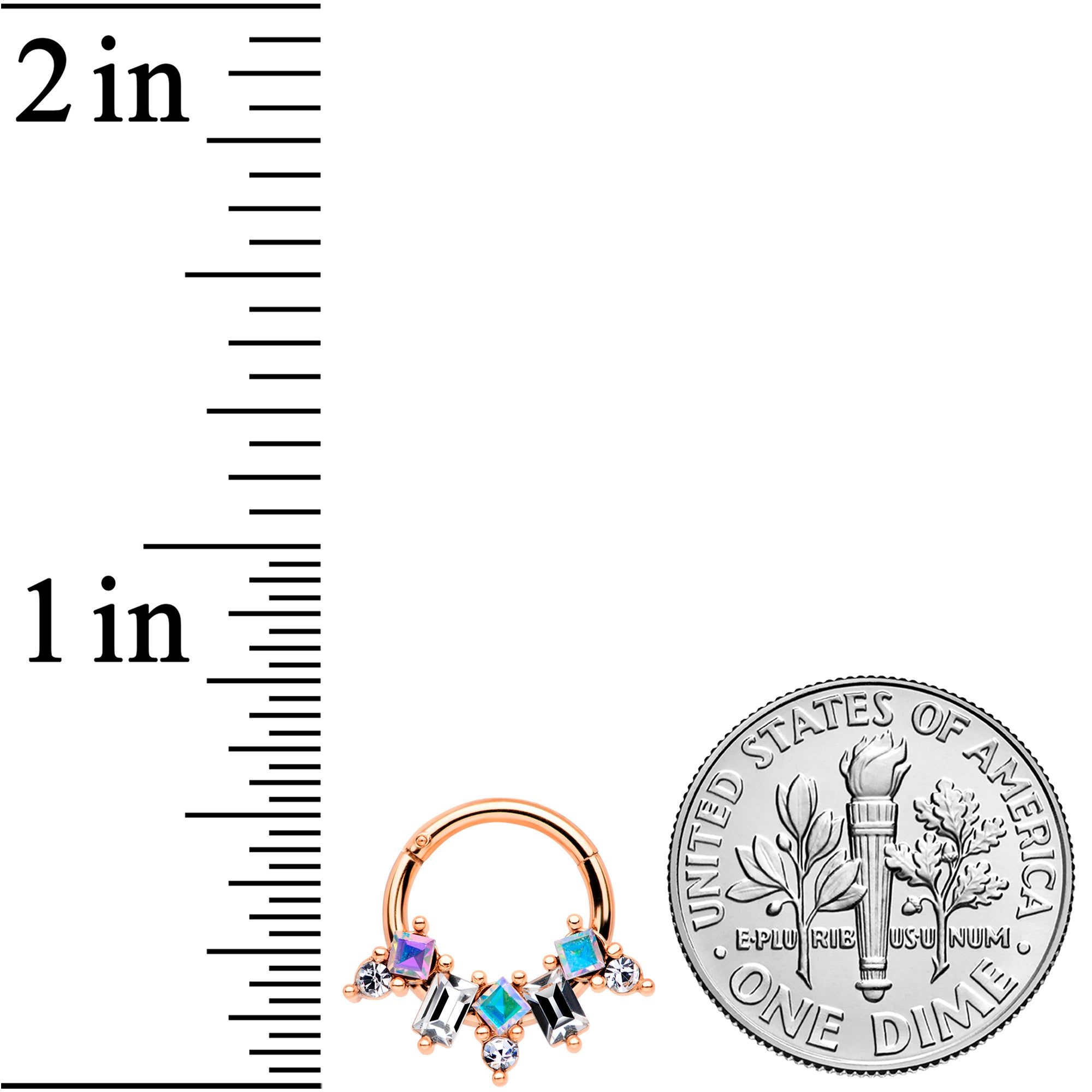 16G 5/16 Aurora CZ Gem Rose Gold Tone Fan Hinged Segment Ring