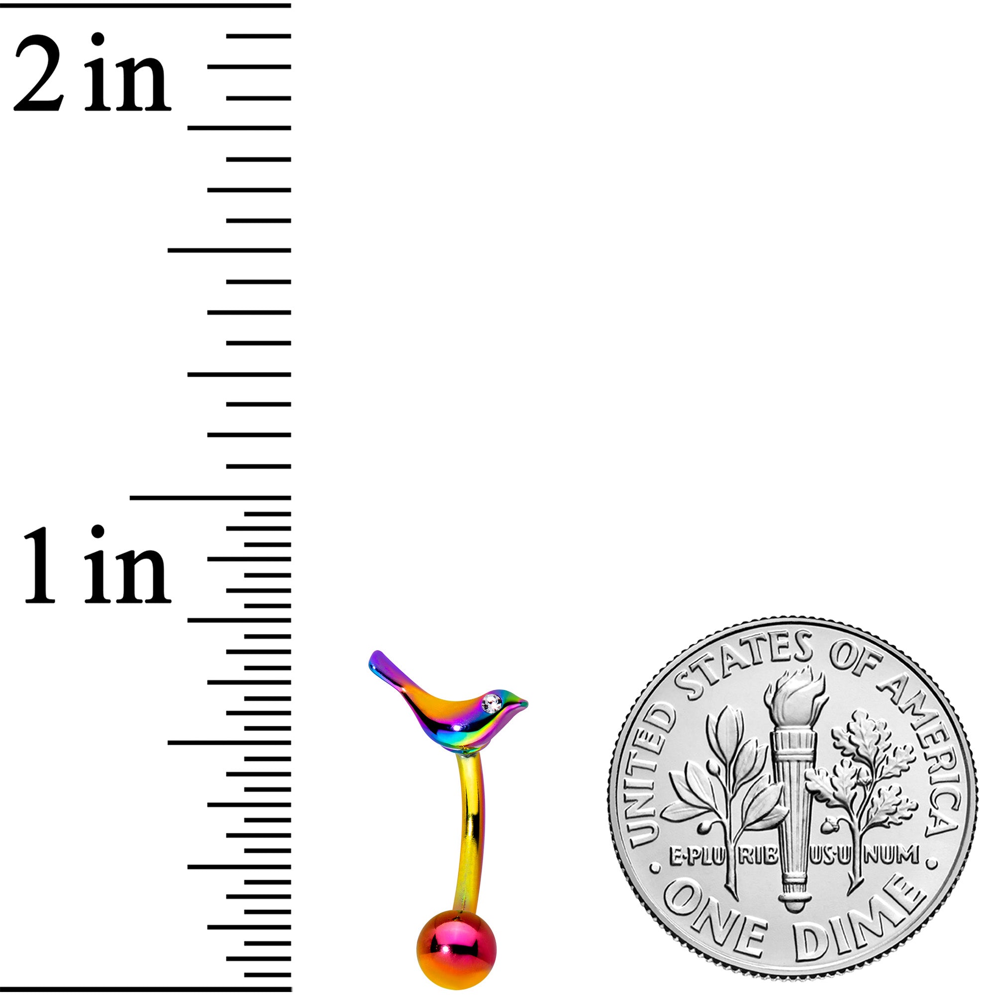 16G 5/16 Clear Gem Rainbow Bird Curved Eyebrow Ring